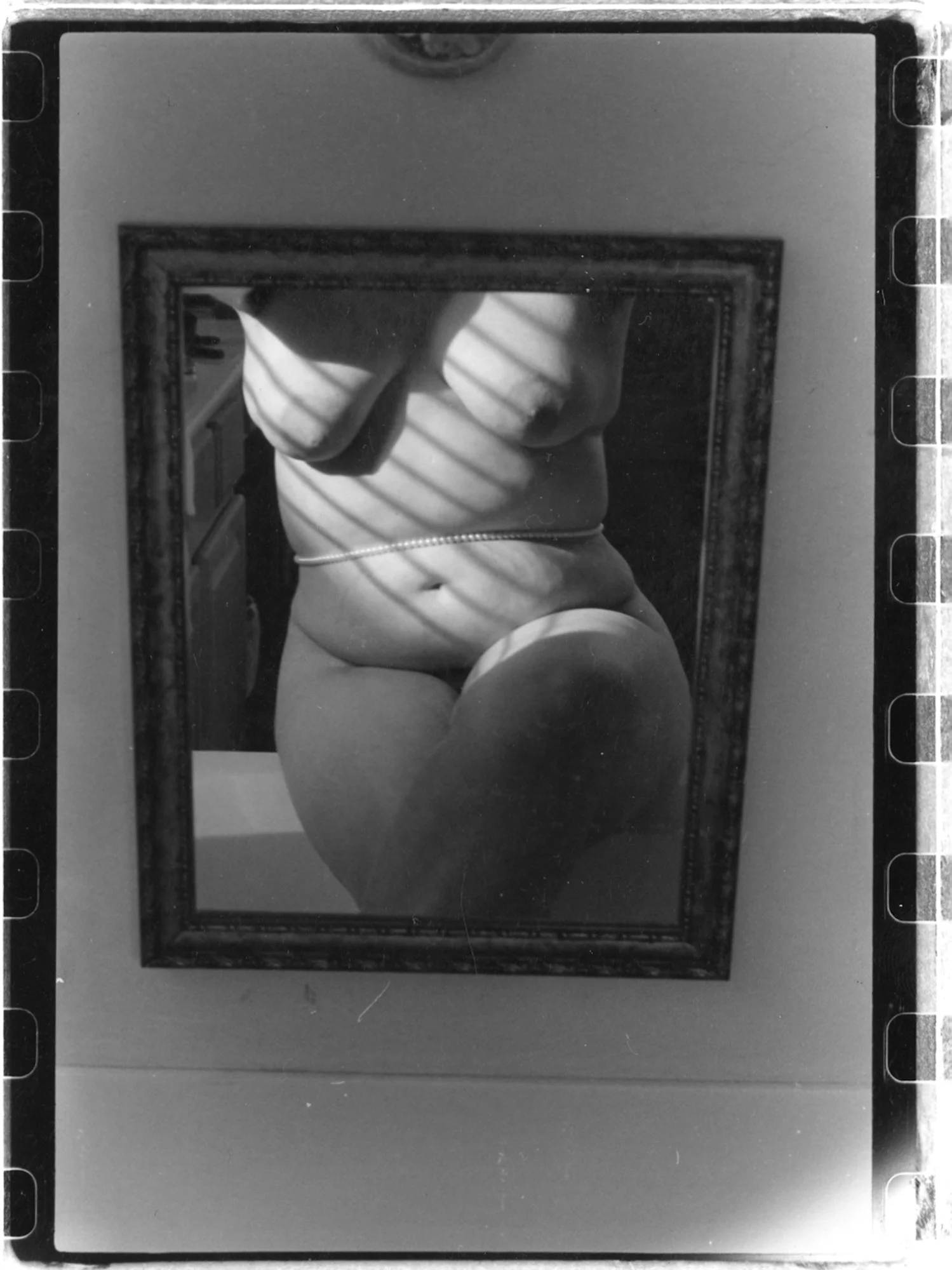 Image © Laila Skye Ashrafi