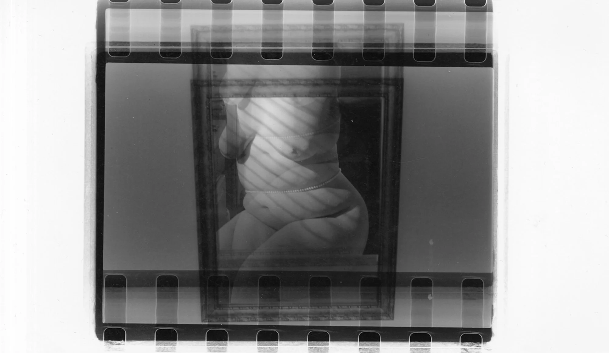 Image © Laila Skye Ashrafi