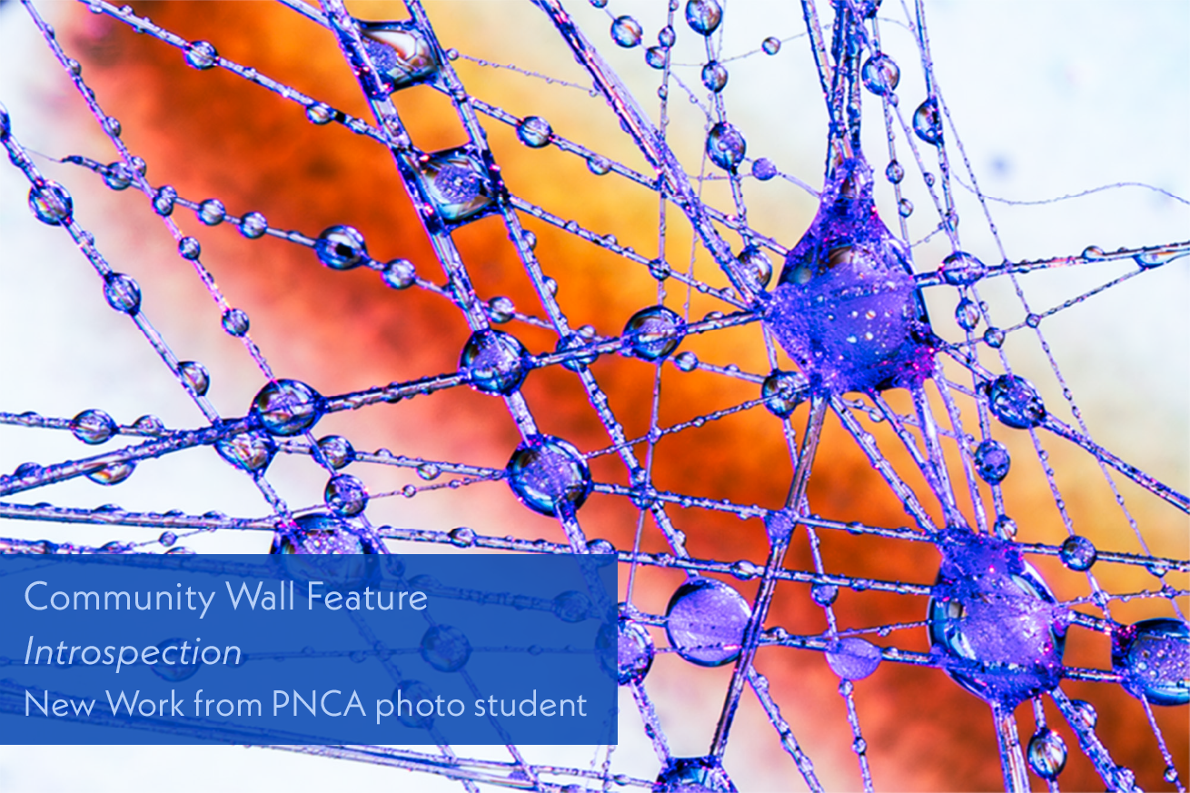 Homepage Reel-05.png