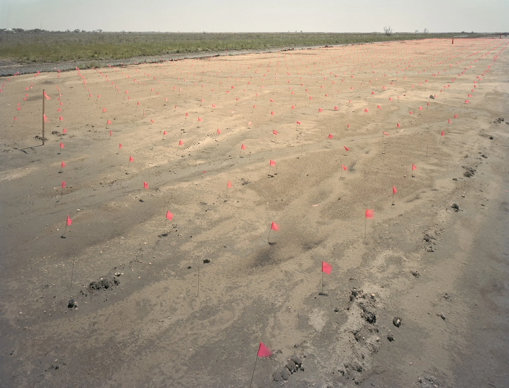 Pink Flags, Myrtle Grove, LA, USA, 2022
