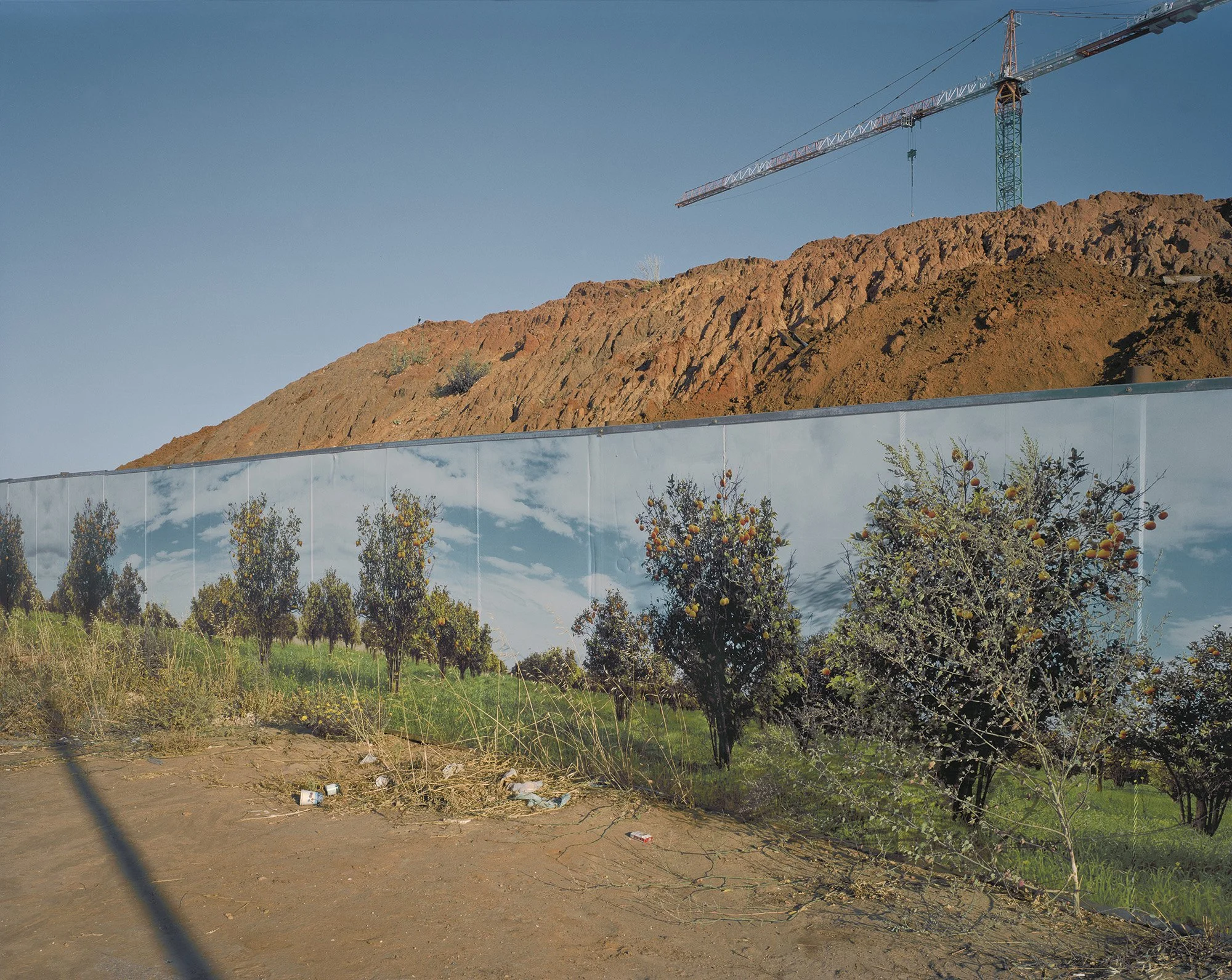 Former Orange Grove, Rehovot, Israel, 2022