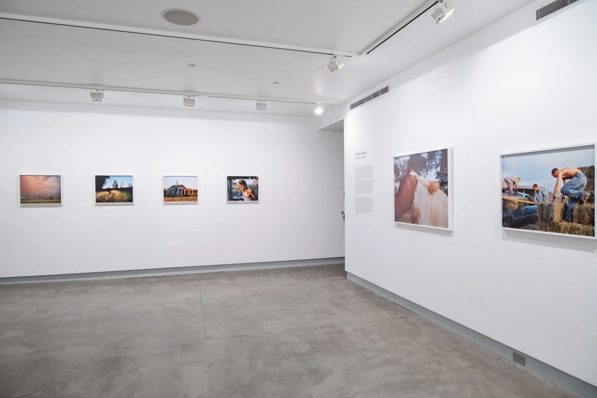 BSG_Documentation_Web_TrentDavisBailey-13.jpg