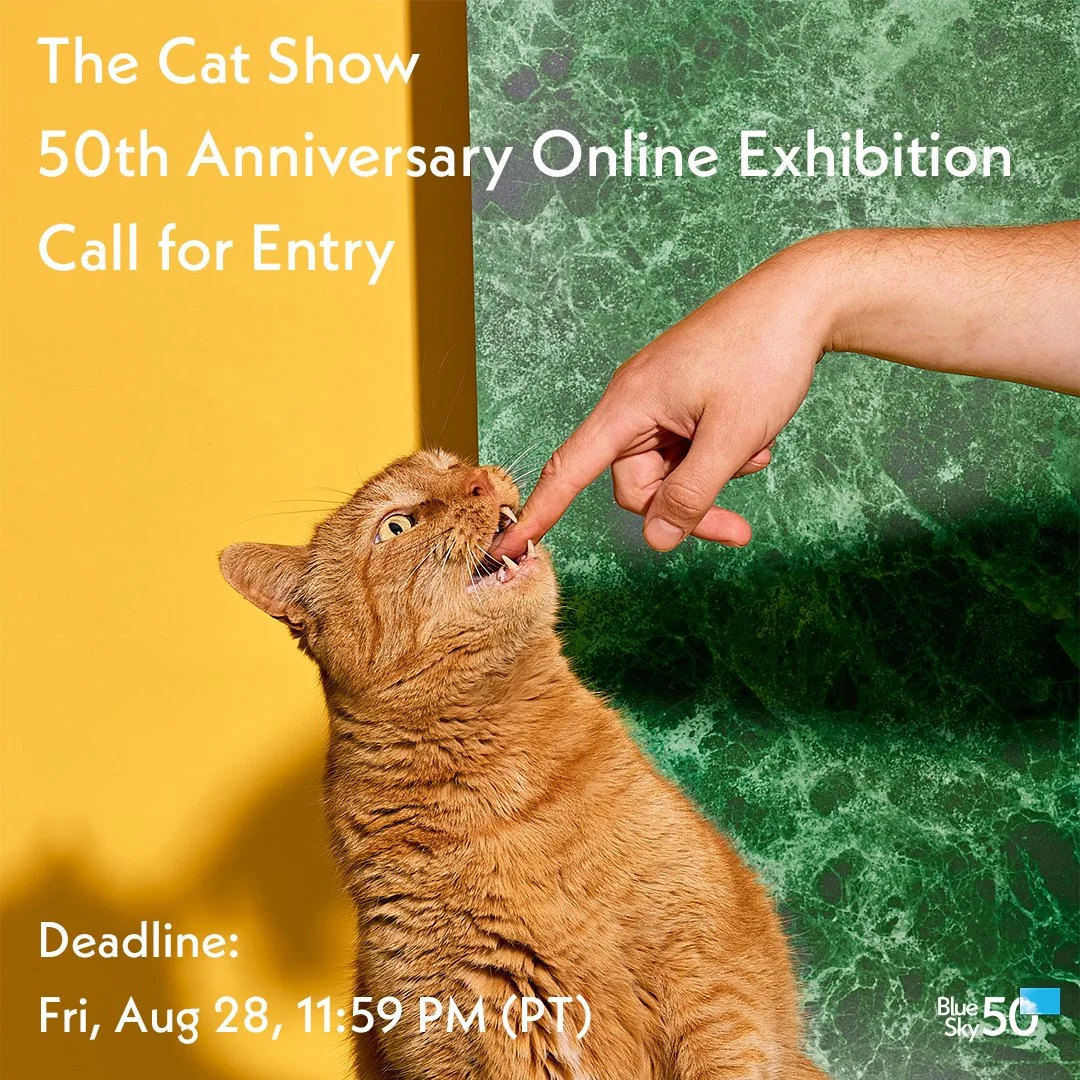 Call for Entry: The Cat Show