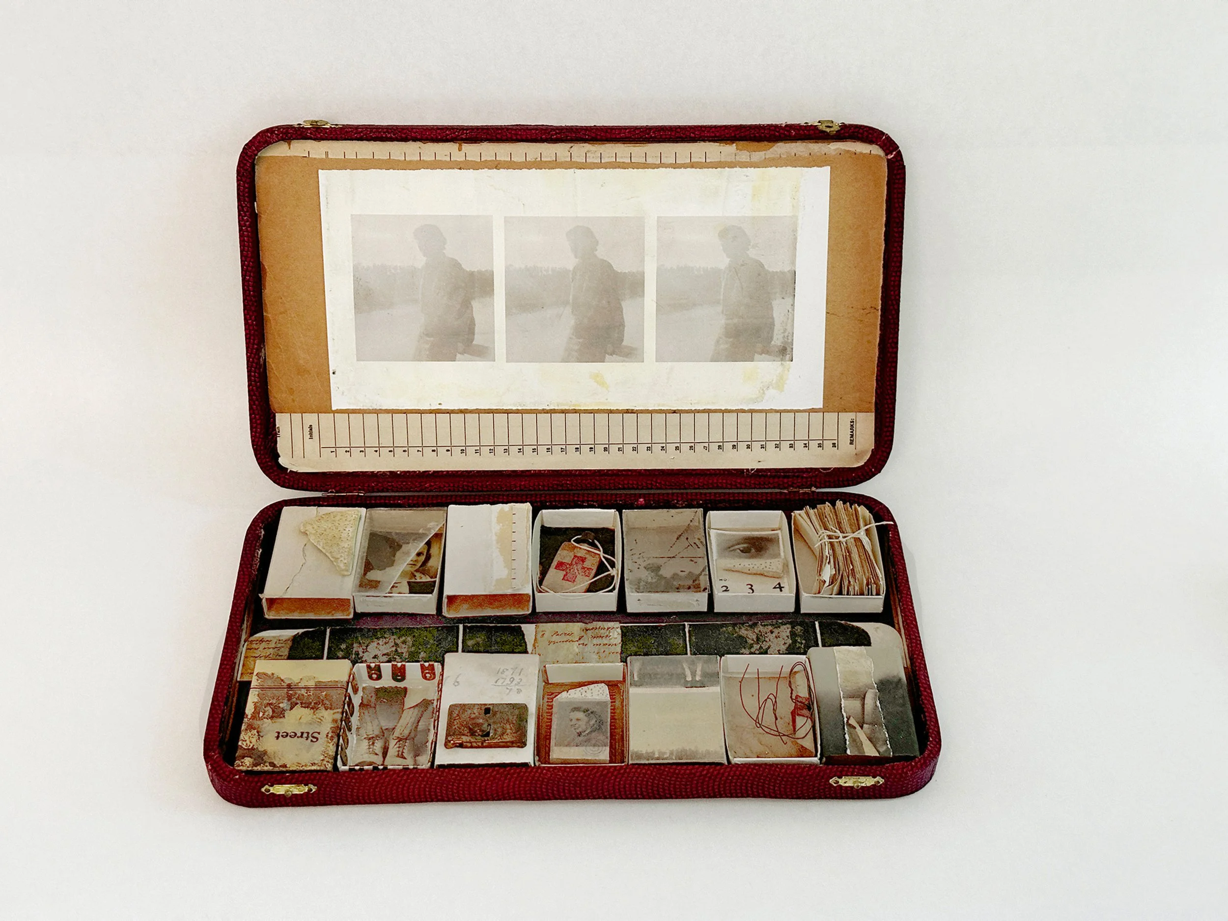 Dawn Surratt, Field Study, 2025