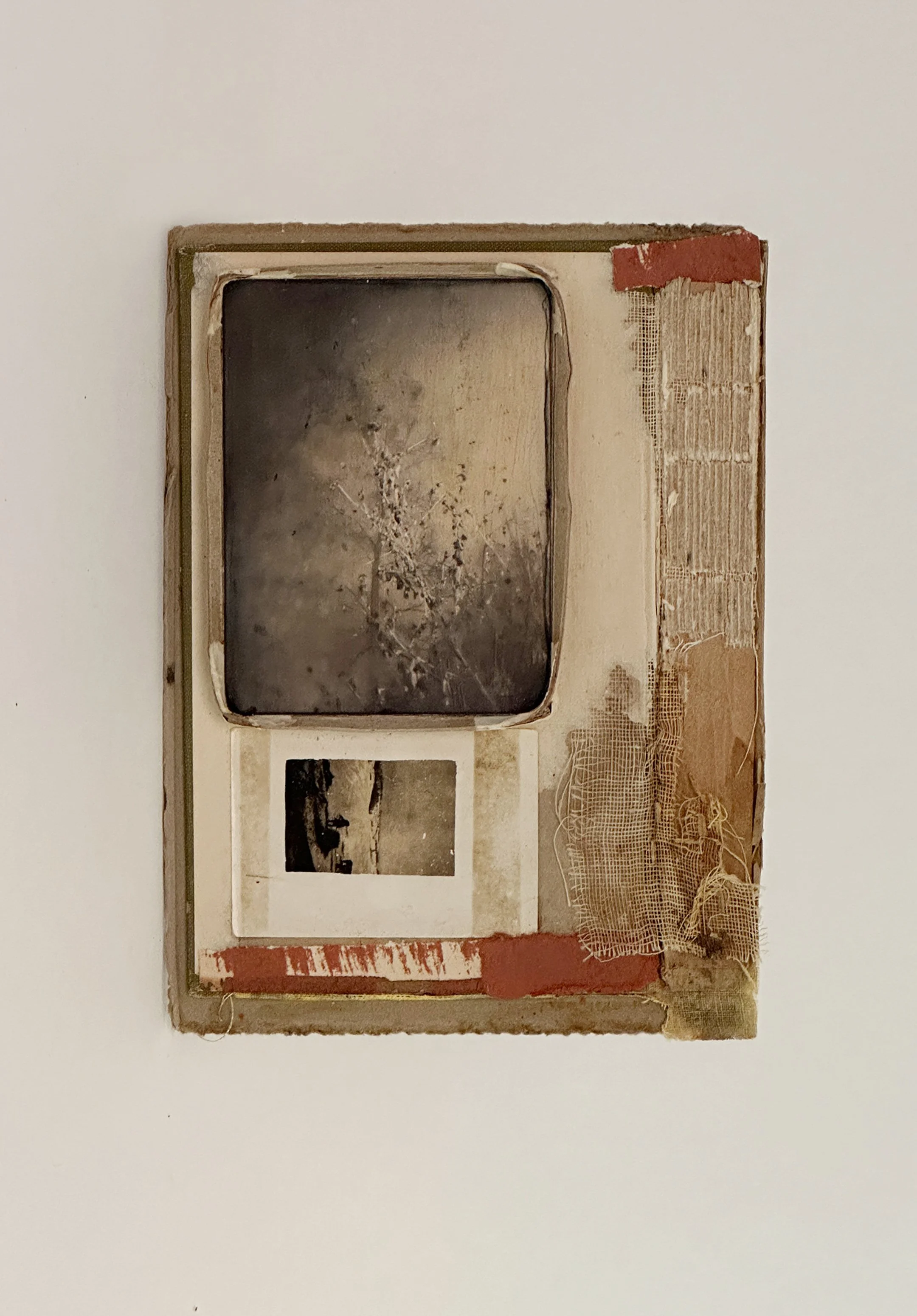 Dawn Surratt, A Shift In Gaze, 2026