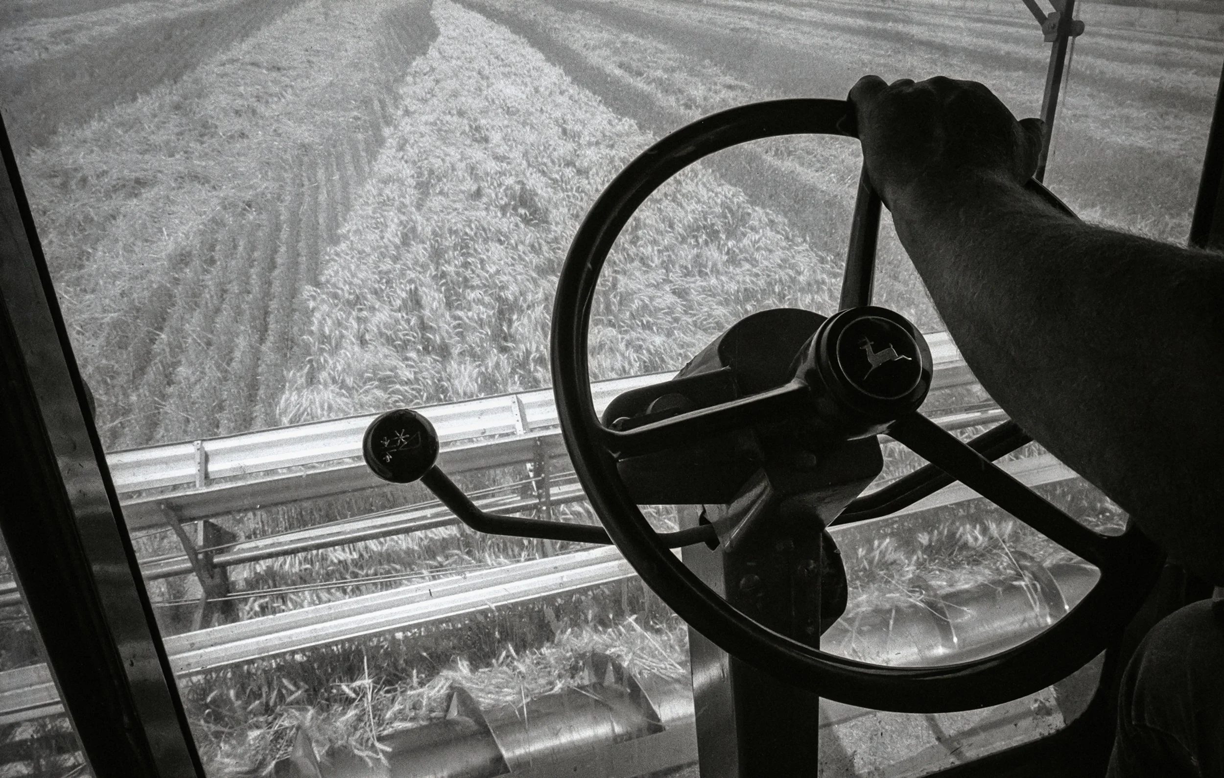 Mark Maio, Cutting Wheat, Marquette, KS, 1993