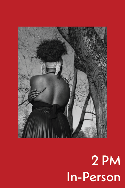 Artist Talk: riel Sturchio