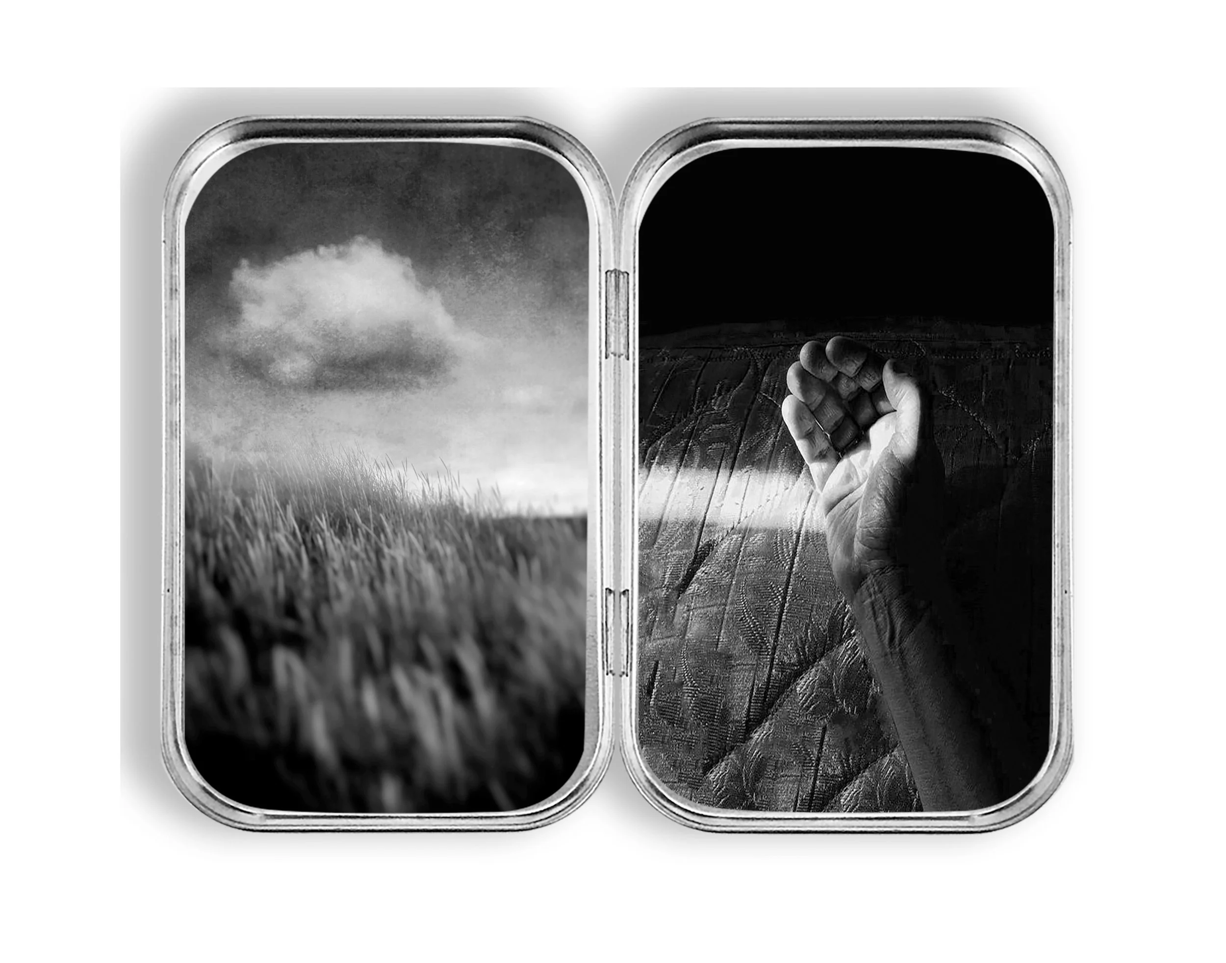 Diana Nicholette Jeon Original 3