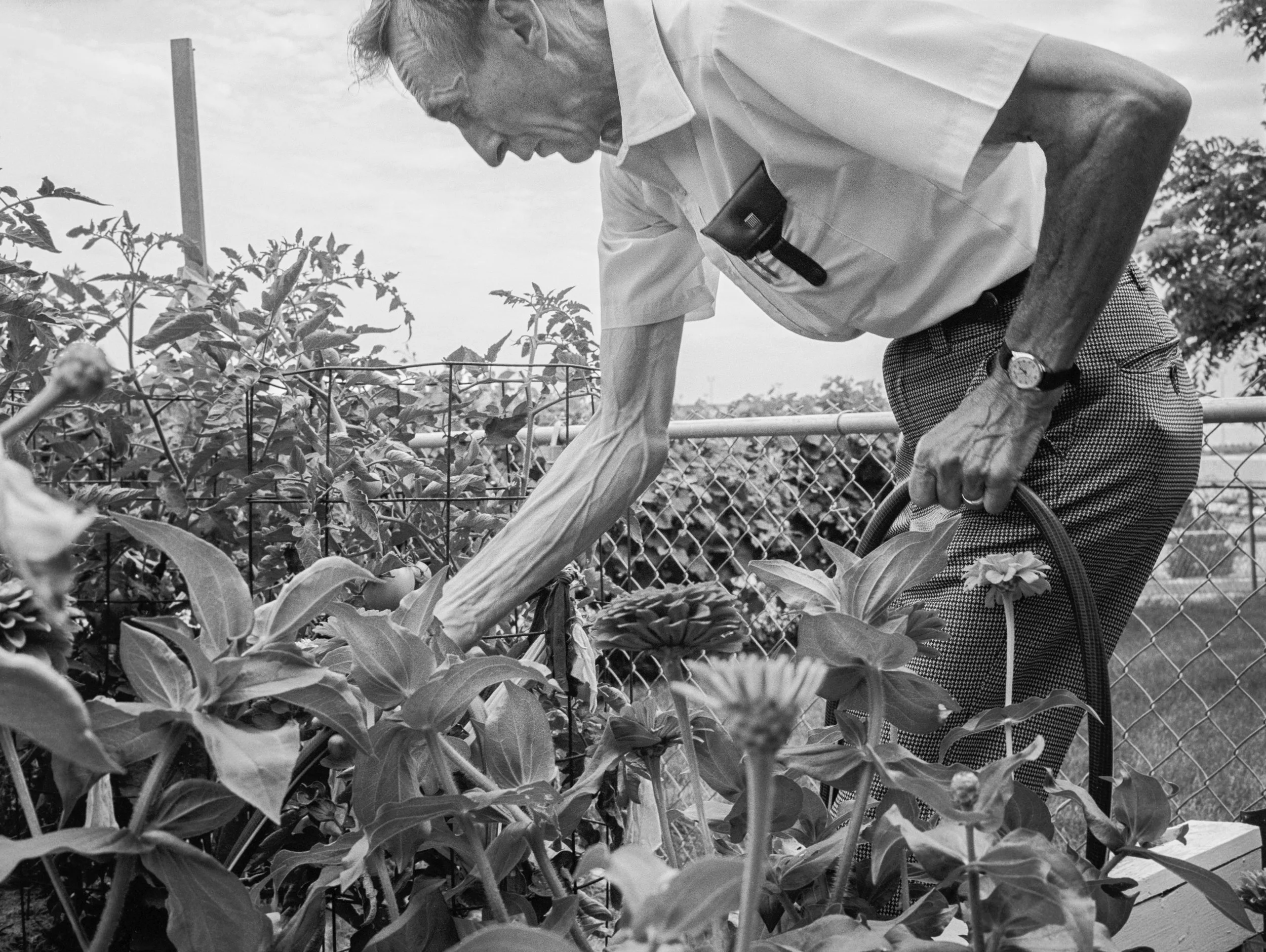 Deanna Dikeman Original 1