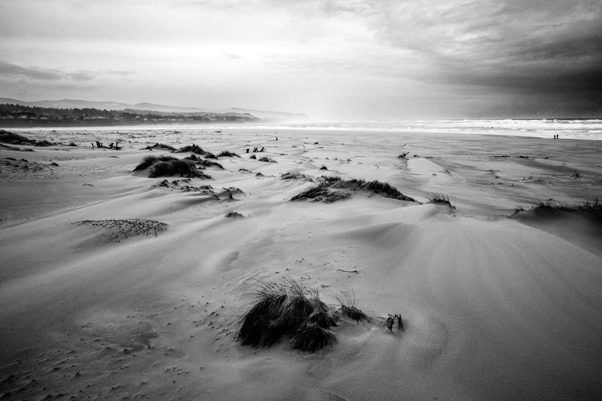 Bloom, Jeff 5 (PNWD 2025)