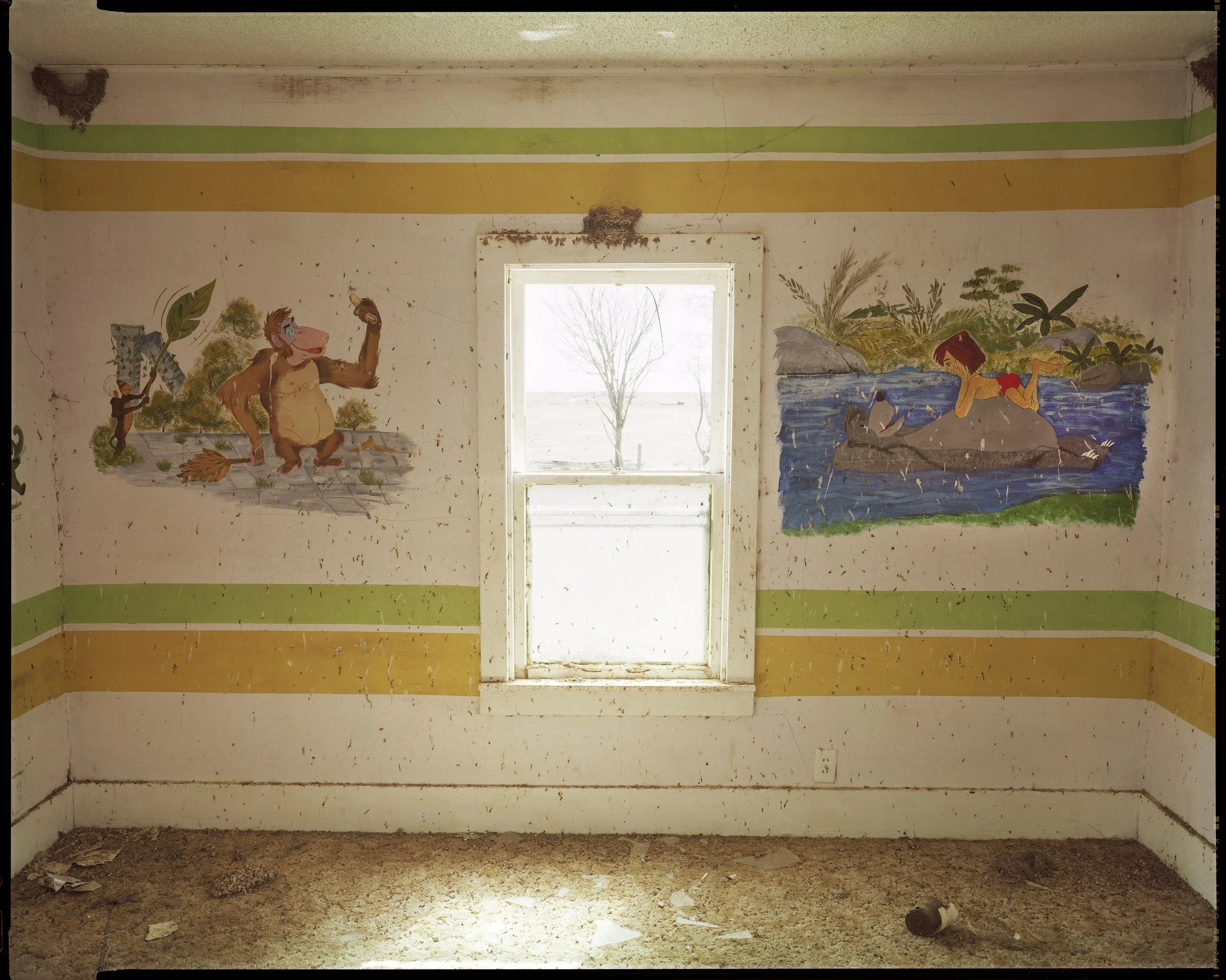 Steve Fitch Original 1