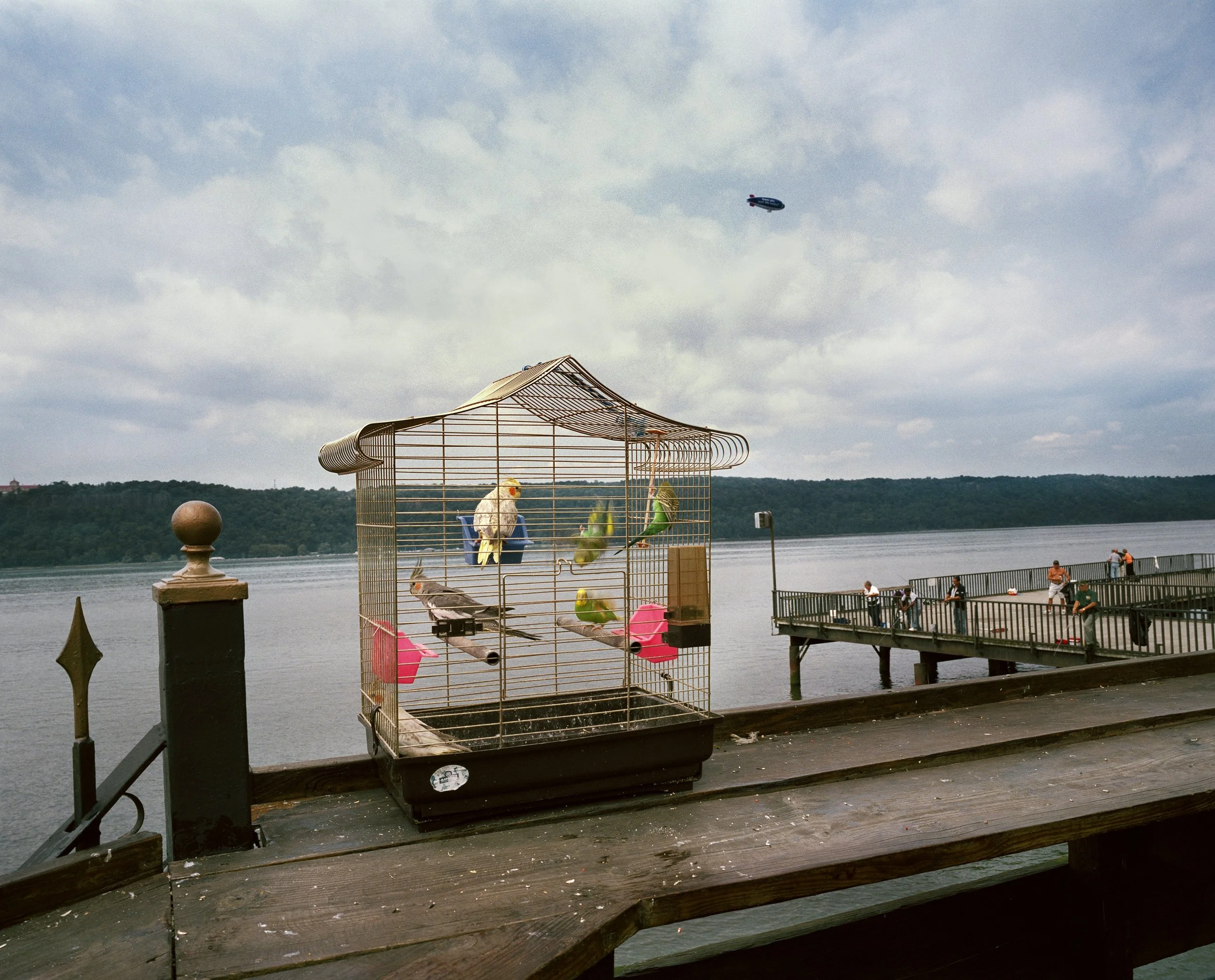 Cook and Jenshel New 2