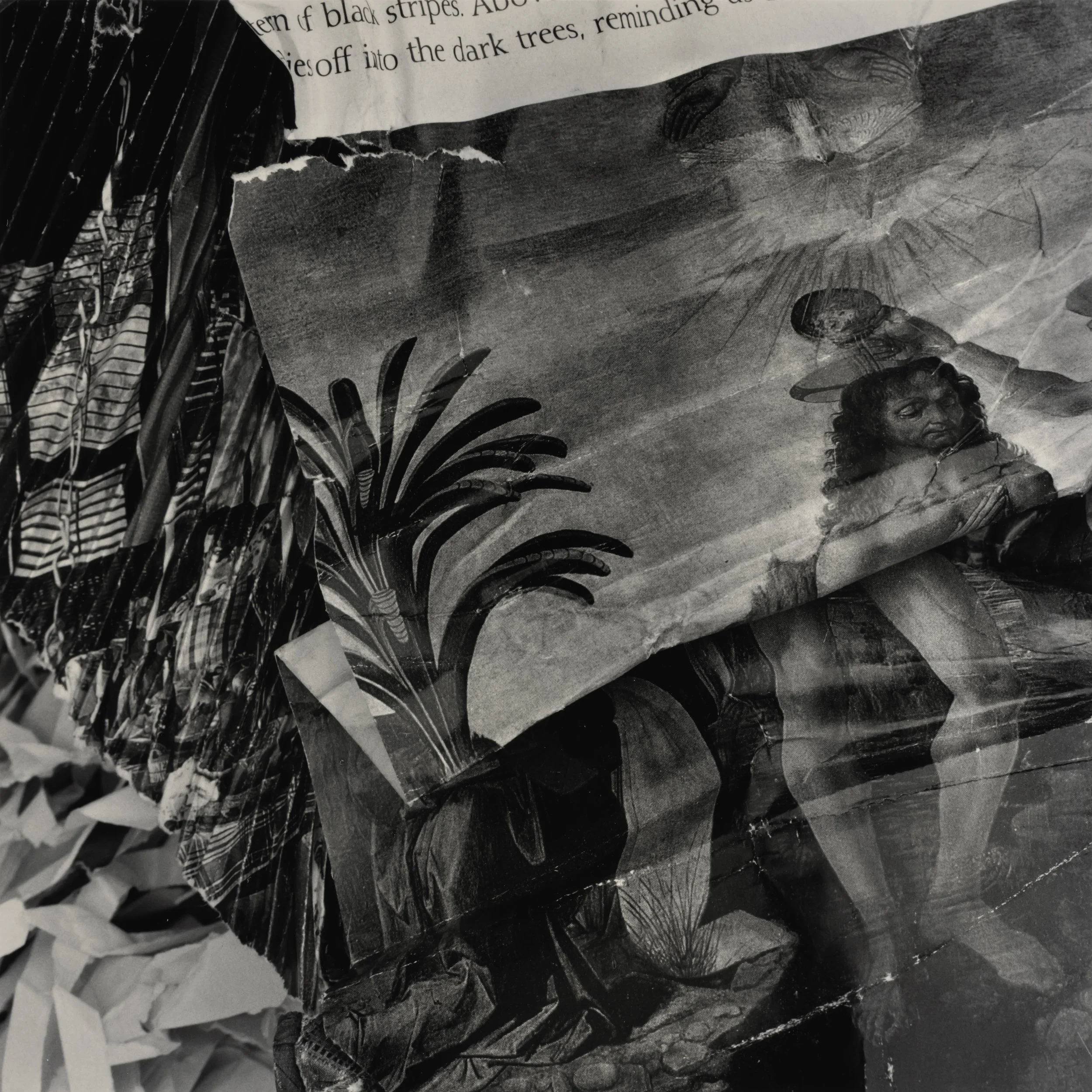 D3JohnWillisOrig03 John Willis.jpg