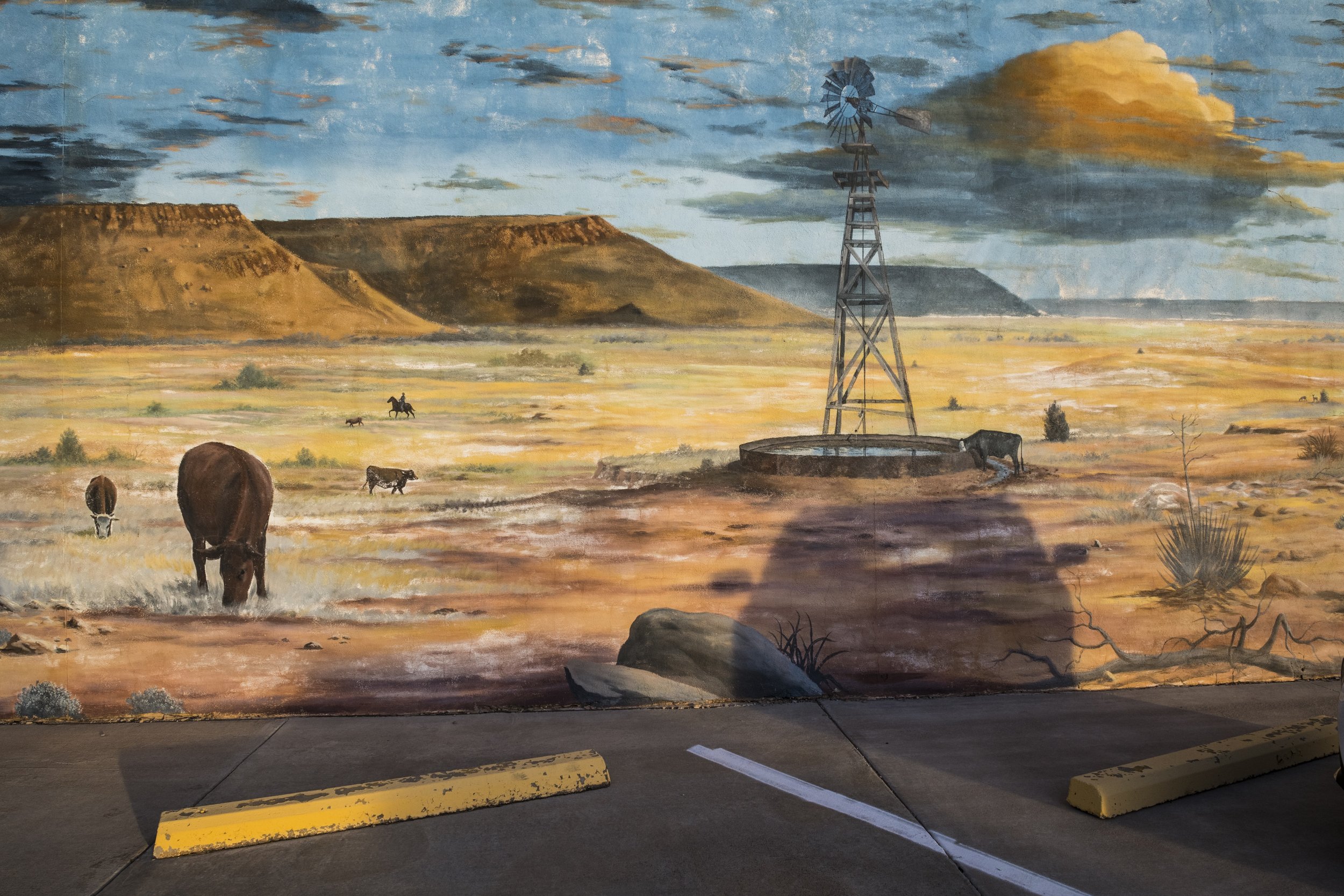 D2JenshelNEW03_Murals.jpg