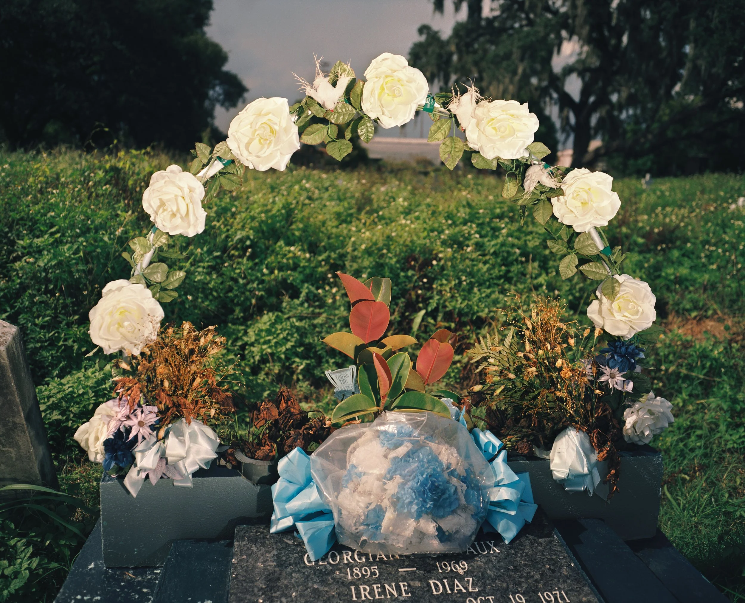 William Greiner Original 1