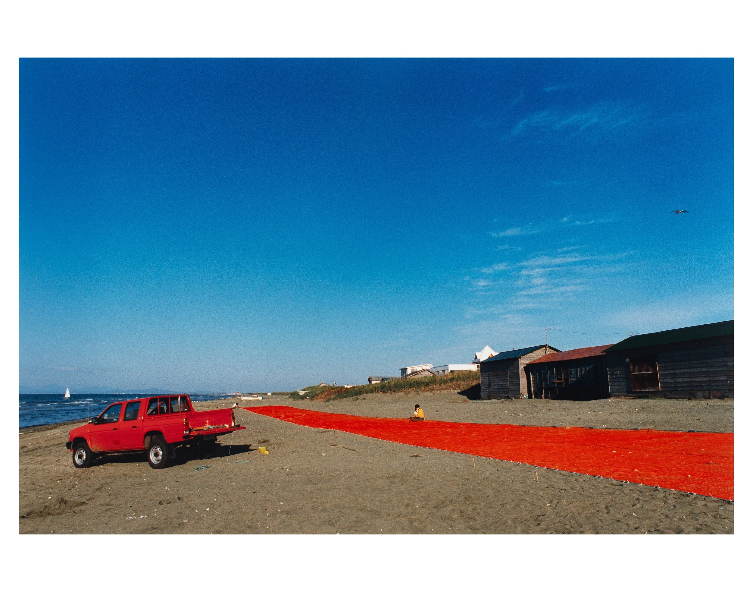 David Potter Original 6