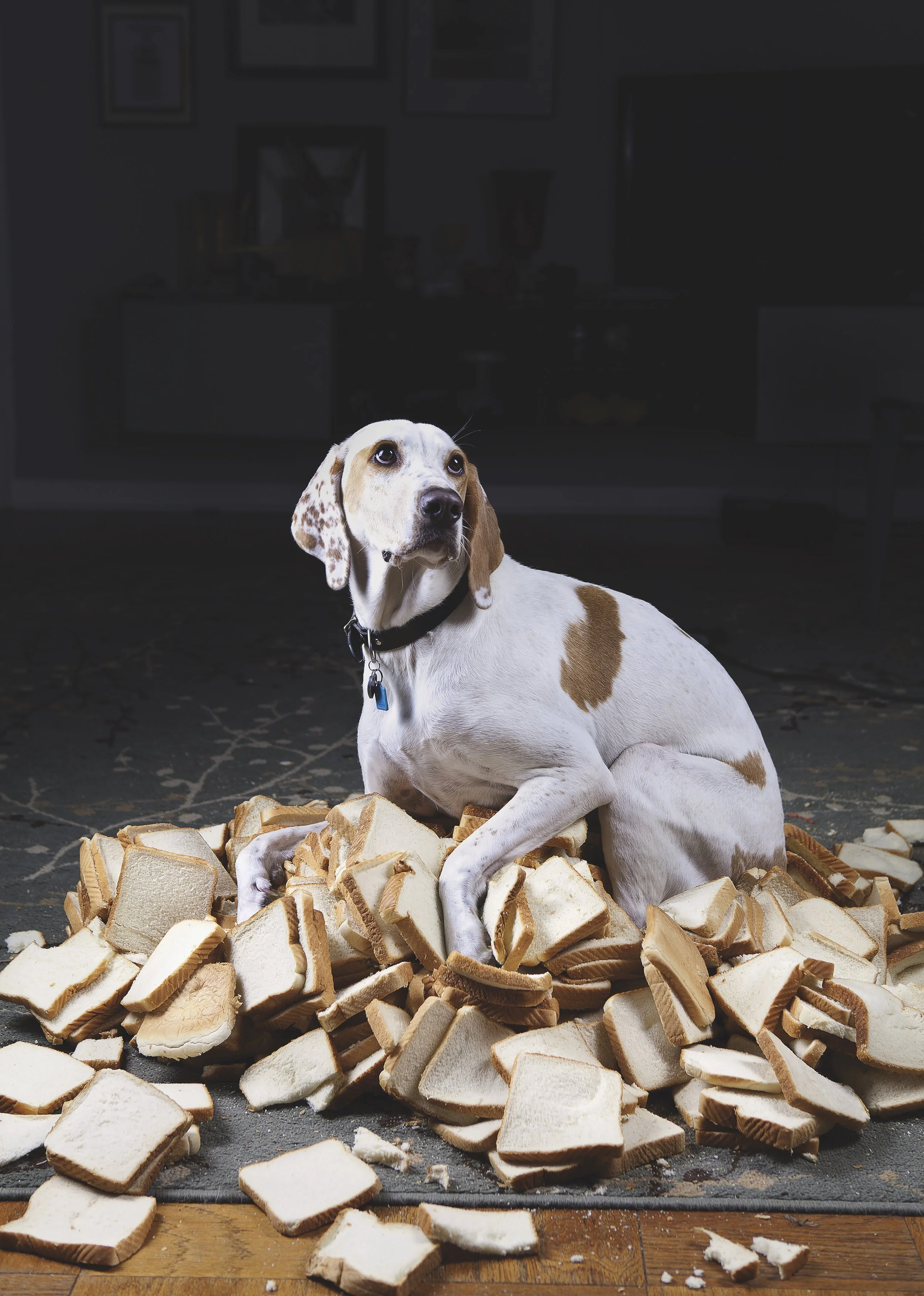 D4HillMagsOrig01 Mary Magsamen.jpeg