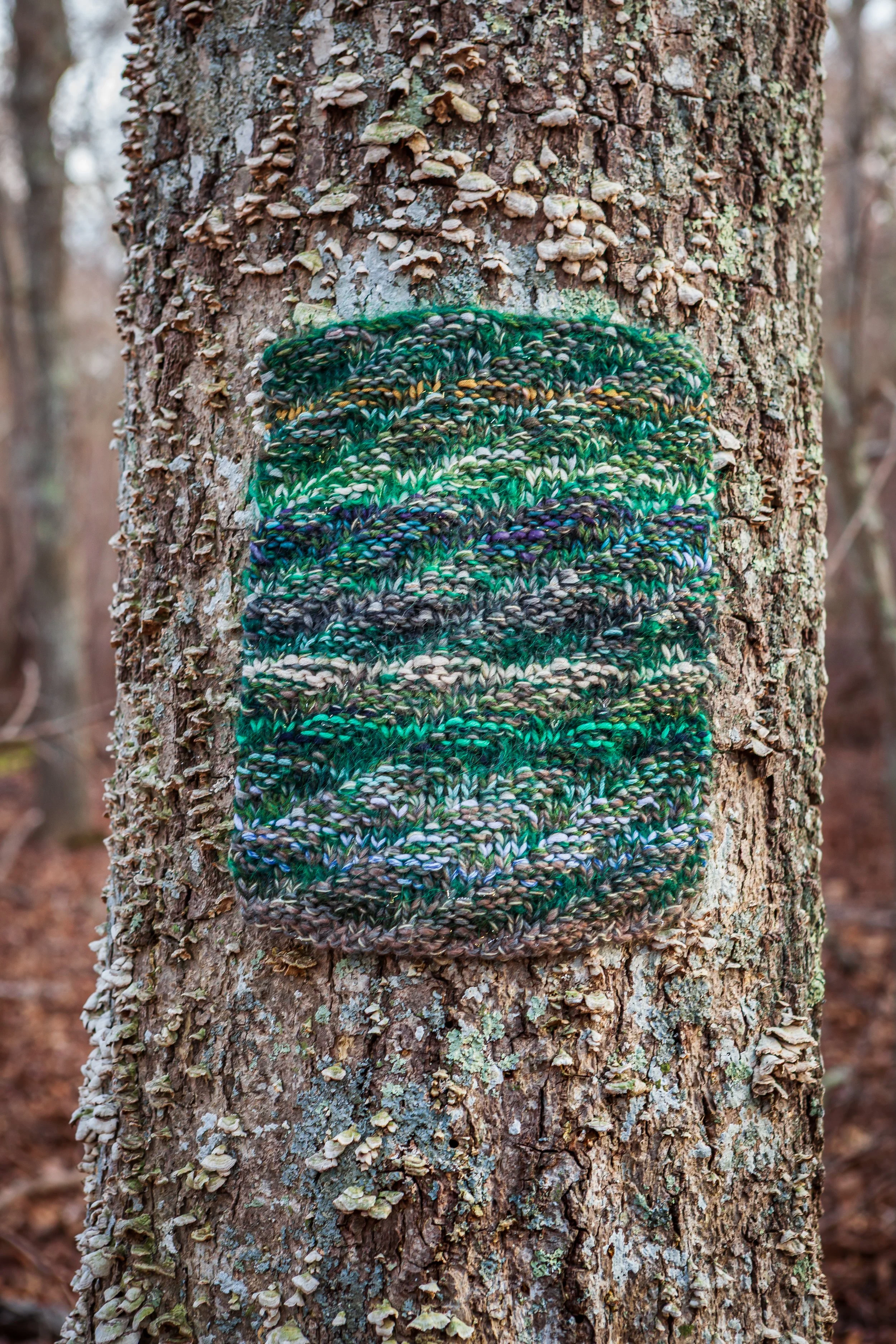 D4 LambrechtNew01Knitted Lichen_BlueSky2026.jpg