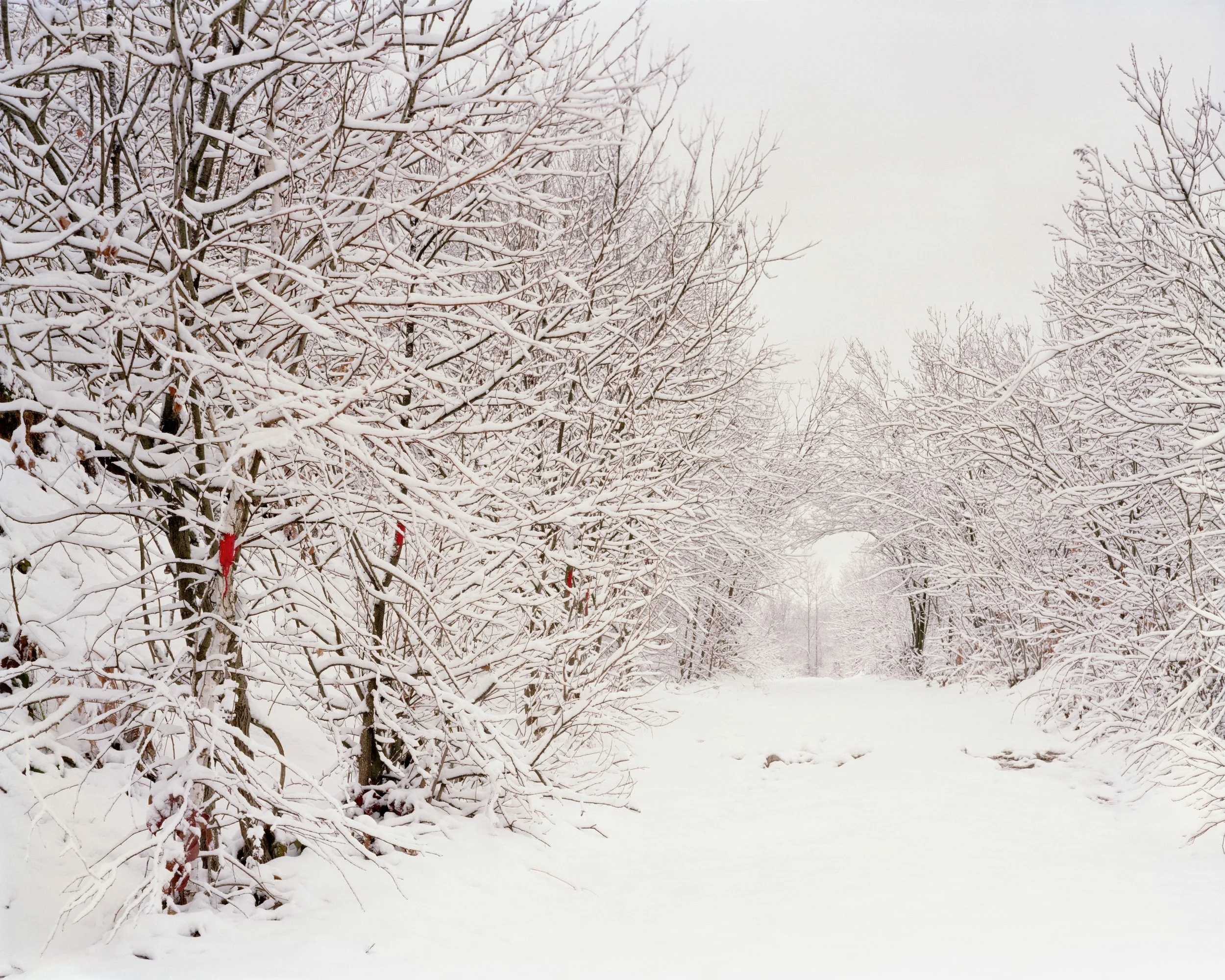 Simon Norfolk Original 7