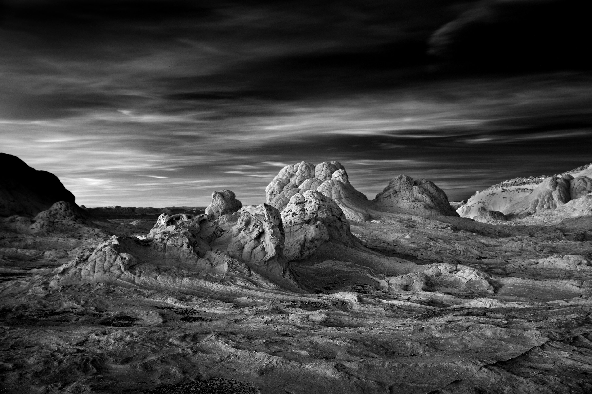 D4DobrownerNew01_The Lion MITCH DOBROWNER.jpg