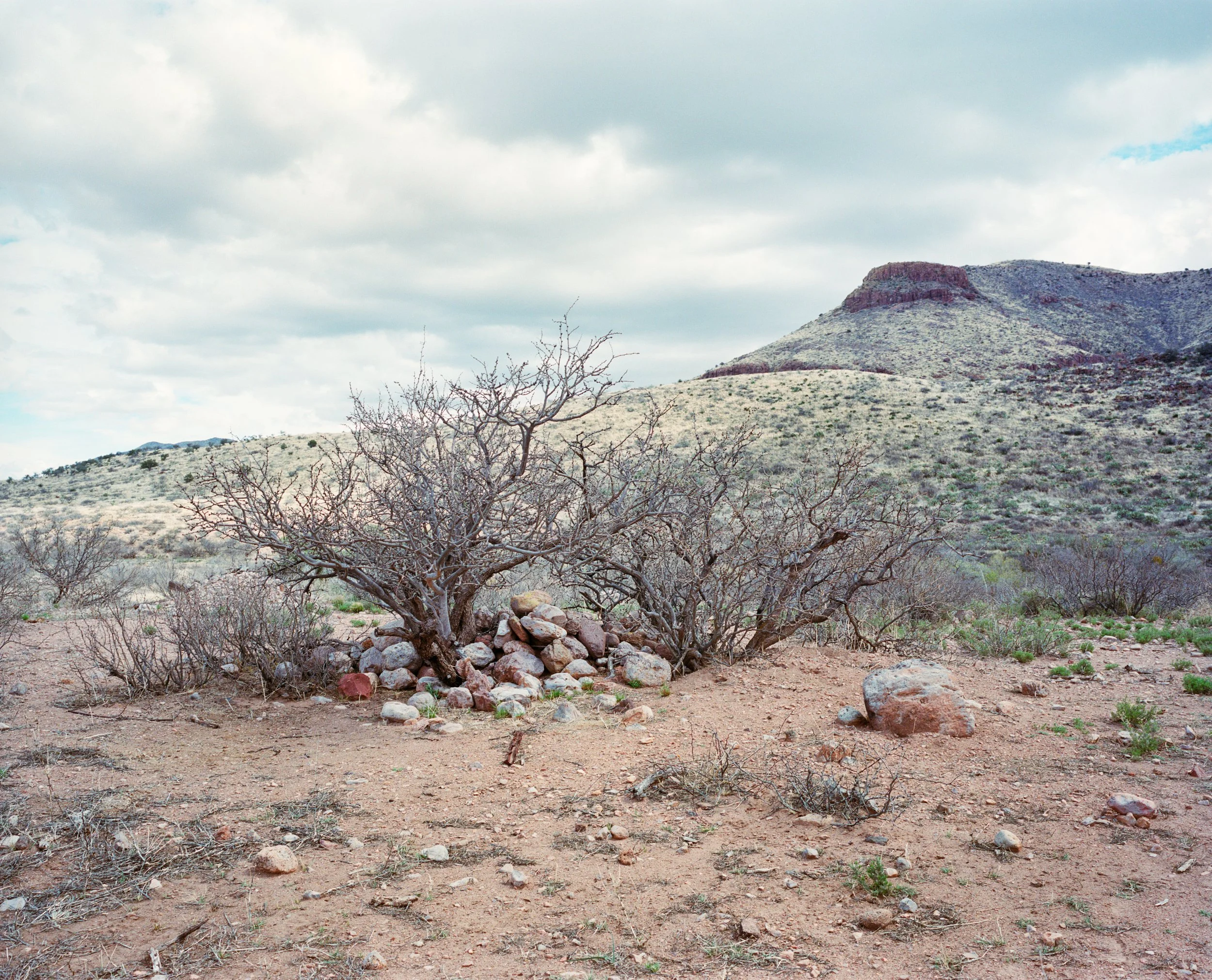 D5_MattMoore_NEW-1.jpg