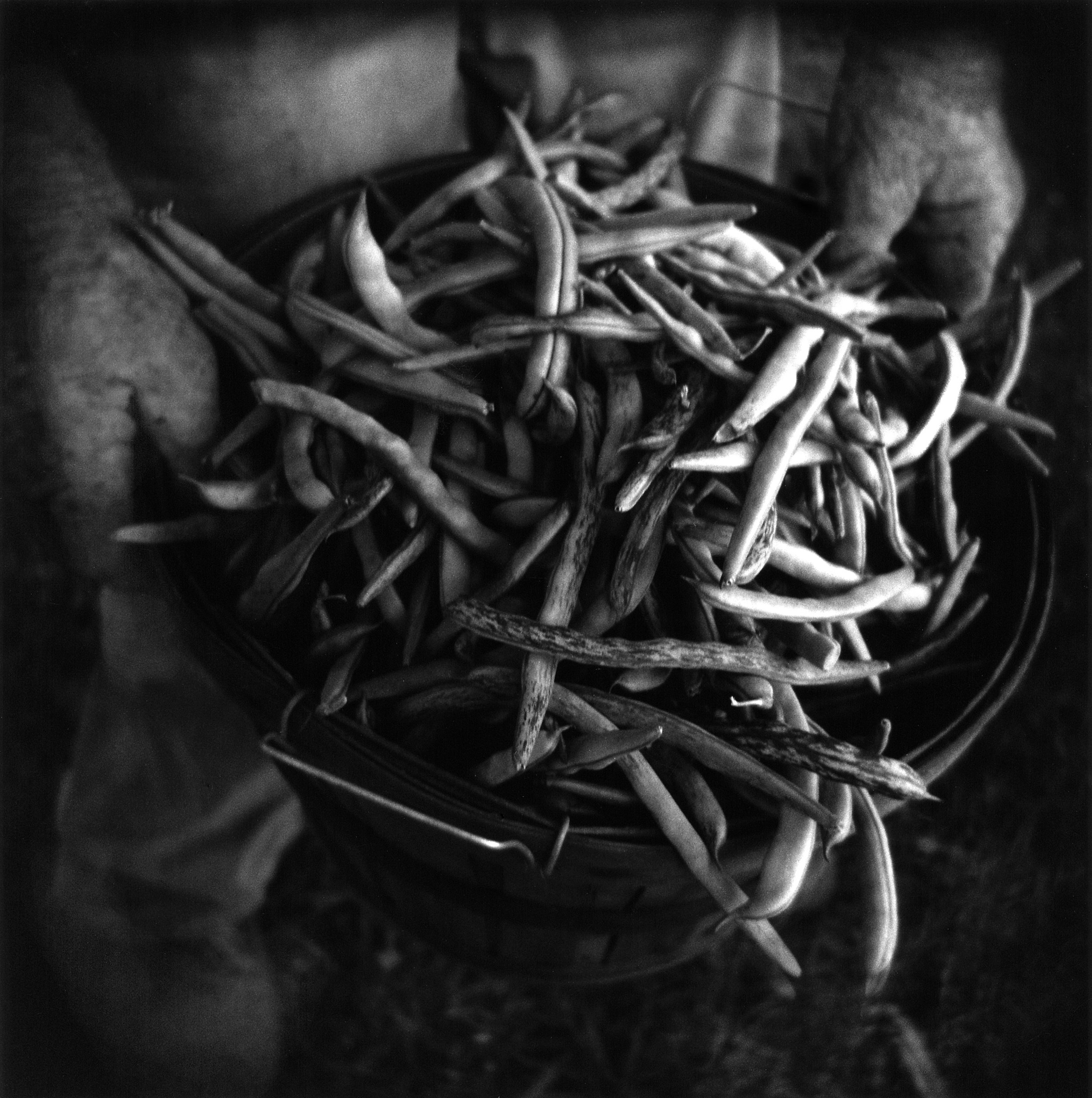 Perry Dilbeck Original 3