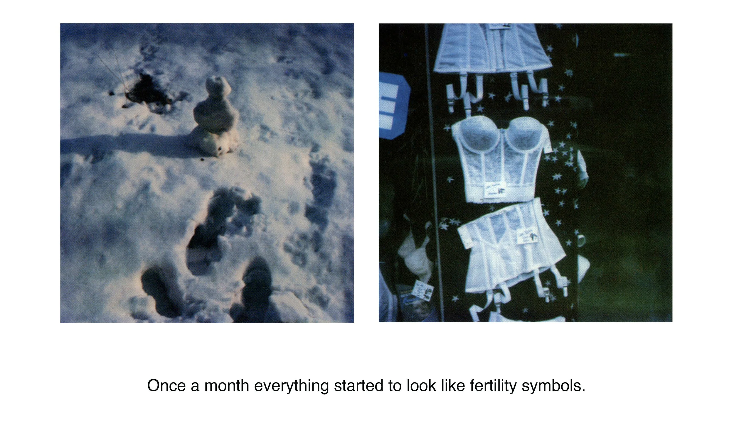 D1_JulieMihaly_SheBeganToRealize_02_FertilitySymbols.jpg