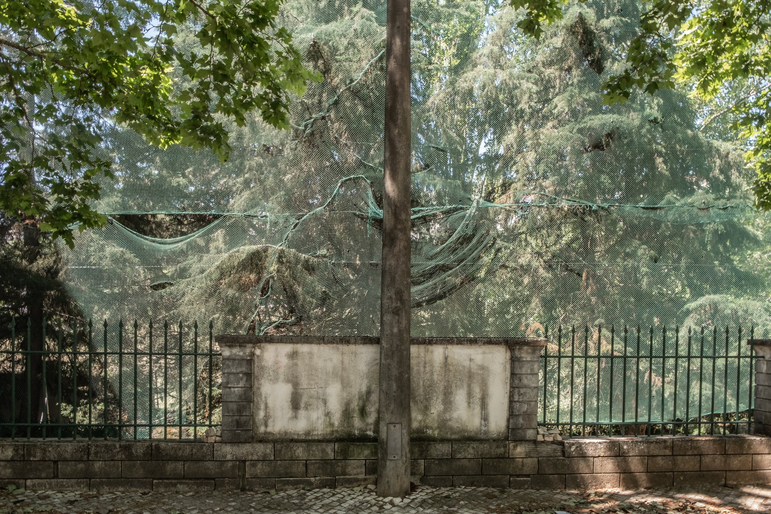 D4KendellenNew03 Ann Kendellen.jpg