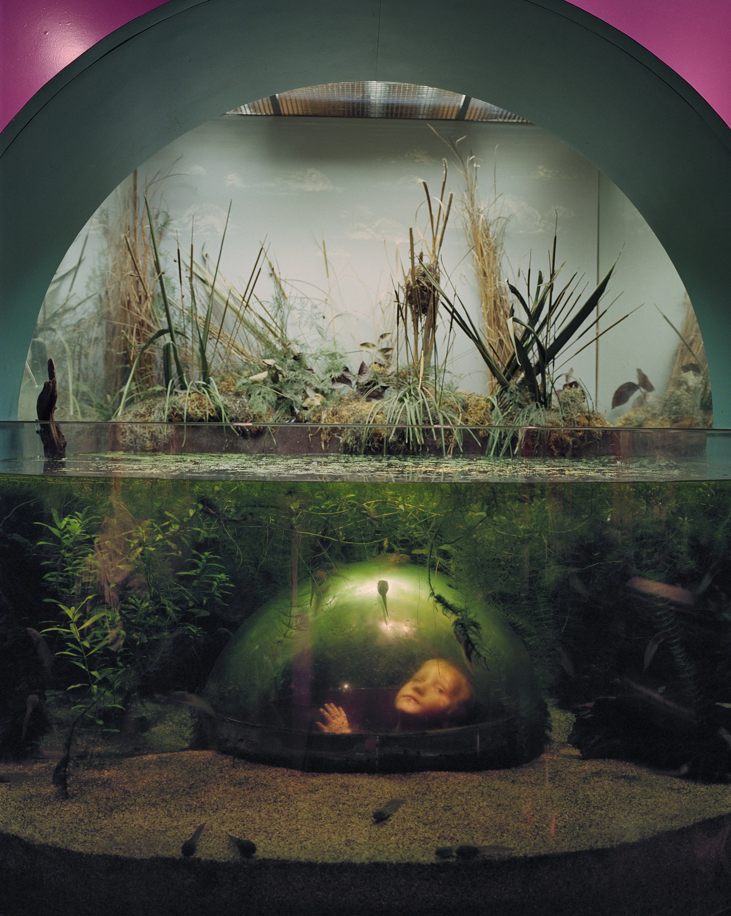 Diane Cook and Len Jenshel Original 3