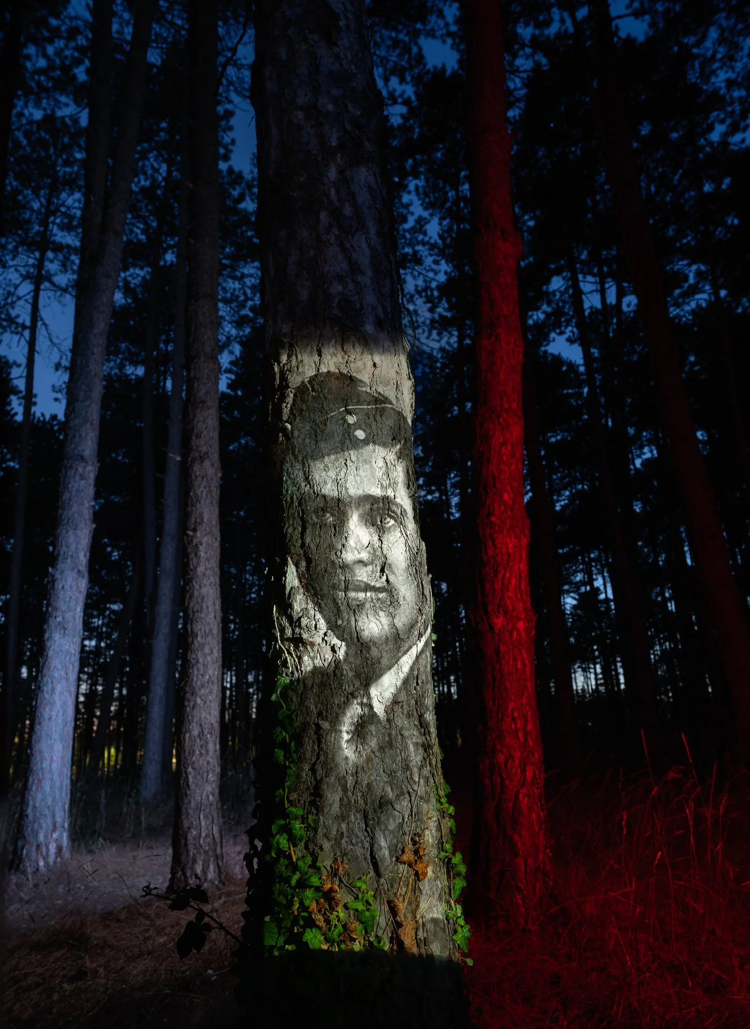 D3AnnuNew01_Pineta Annu Palakunnathu Matthew.jpg