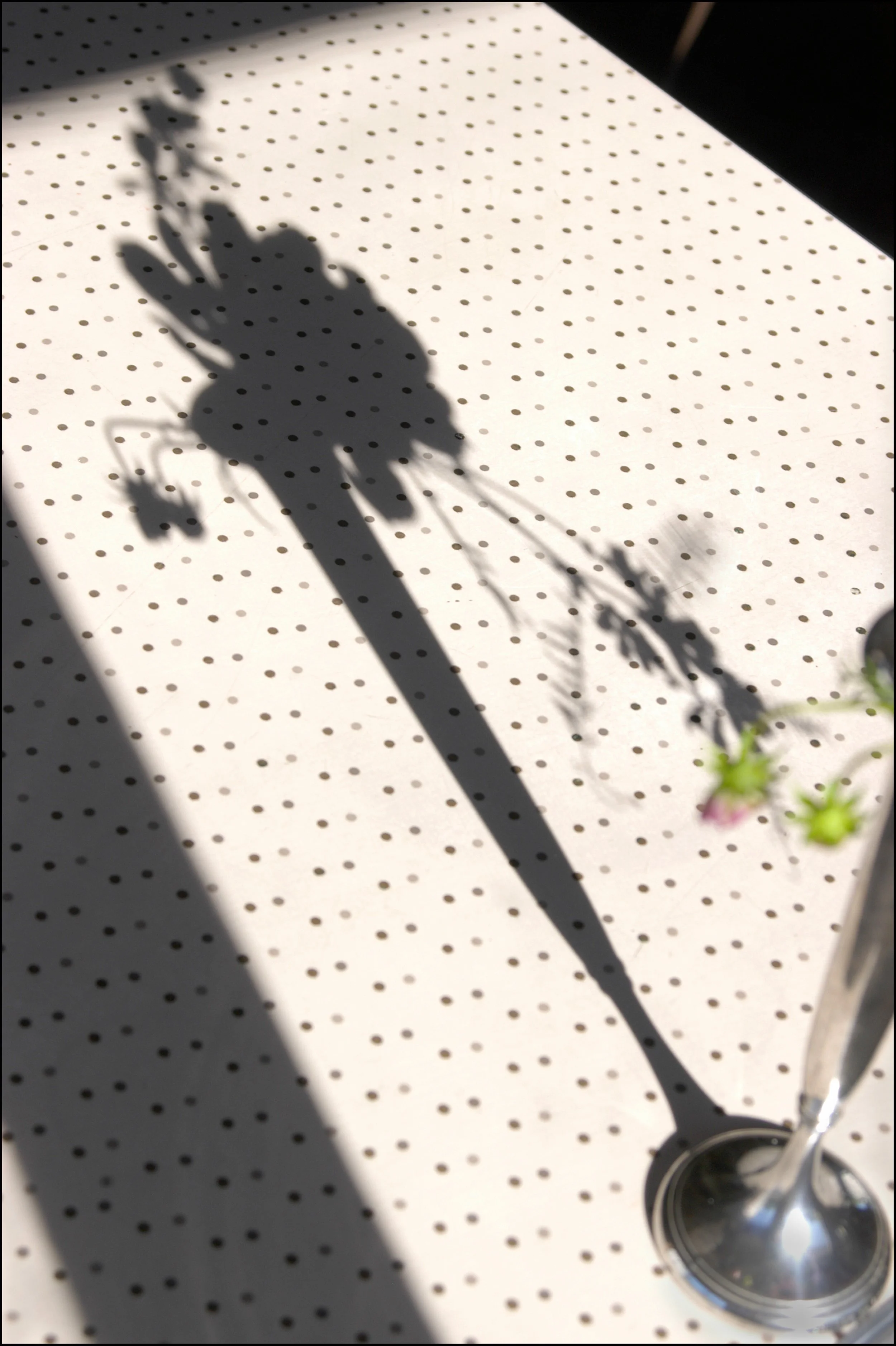 Donna Mitchell New 3