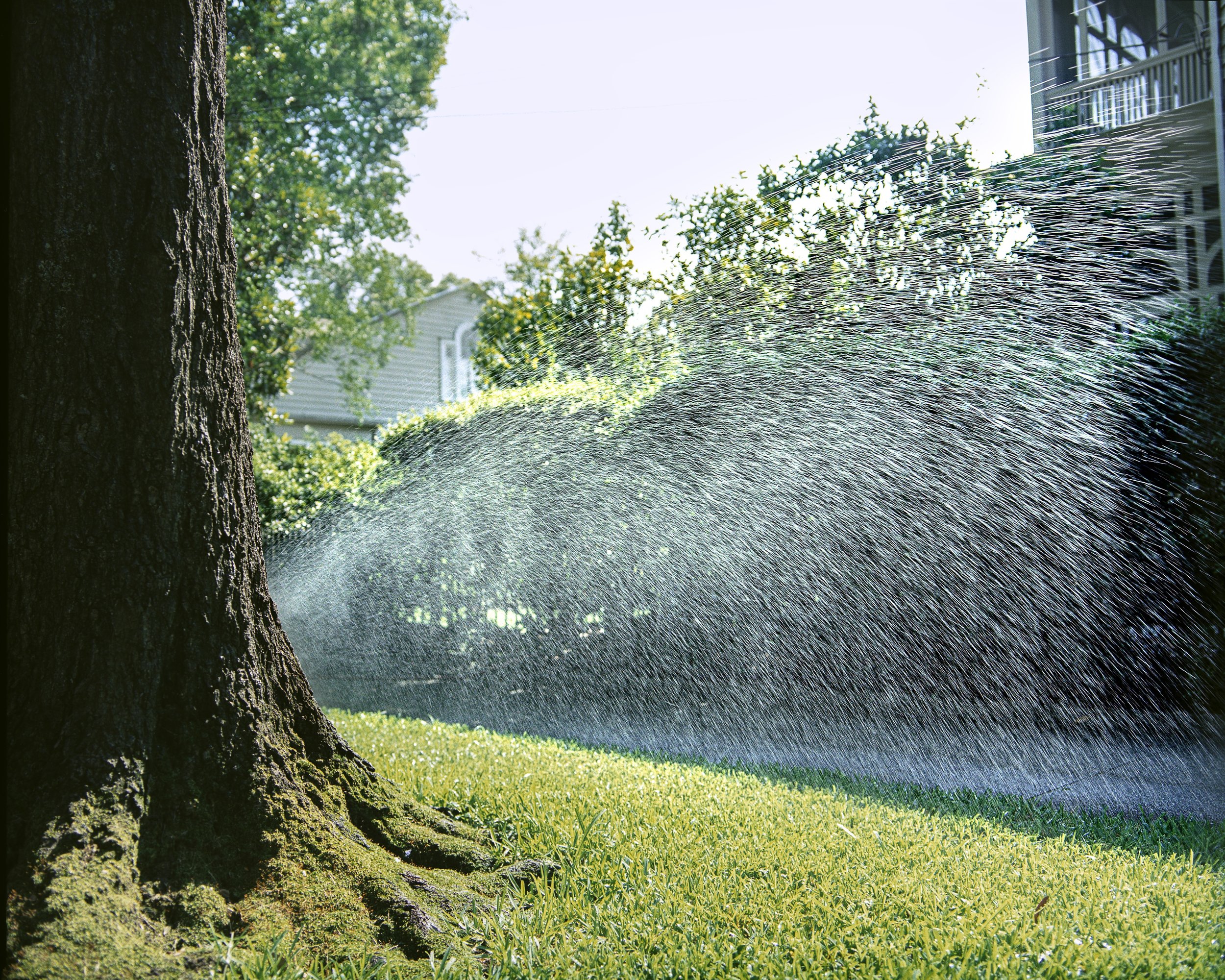 William Greiner Original 3