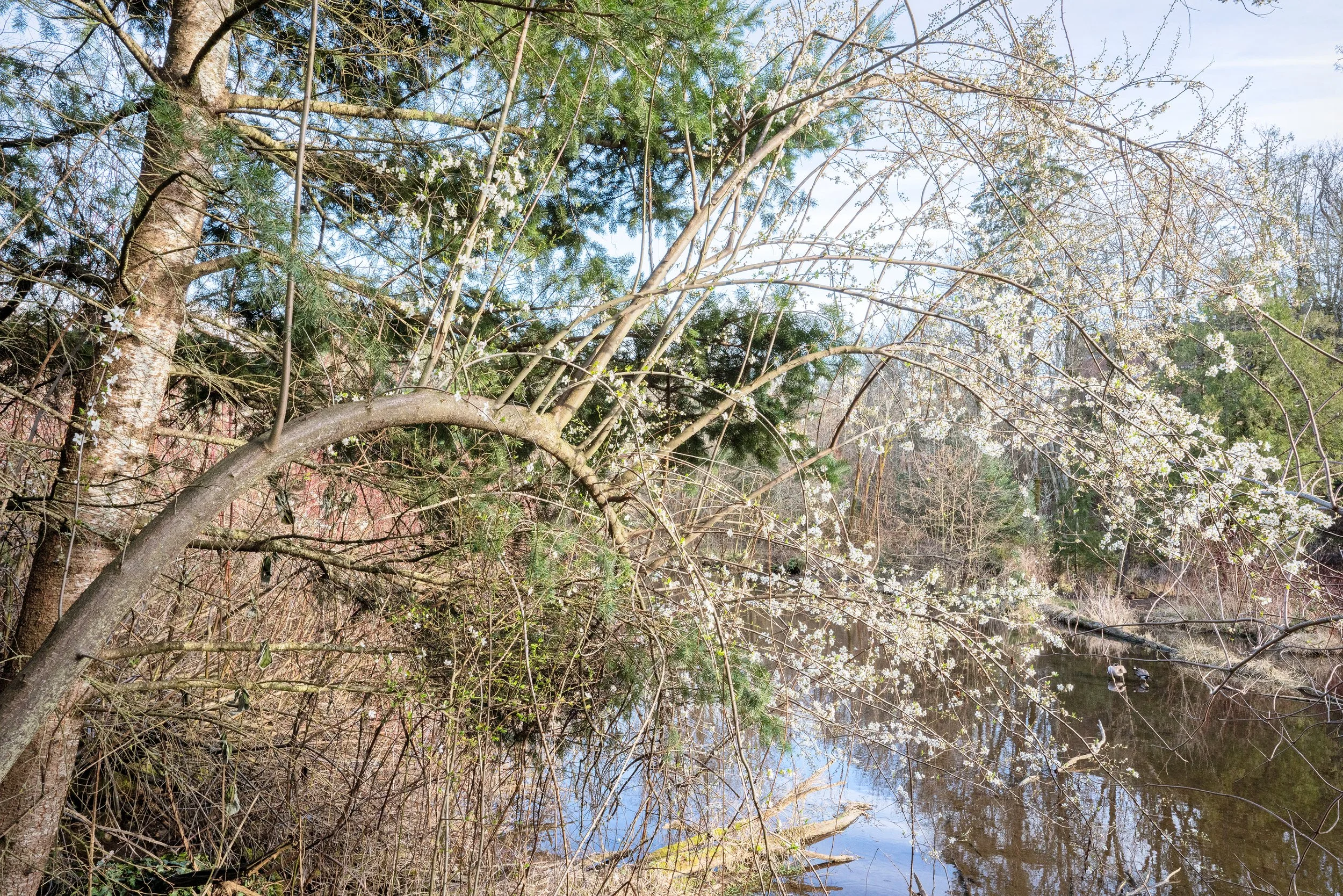 Barbara Gilson New 1