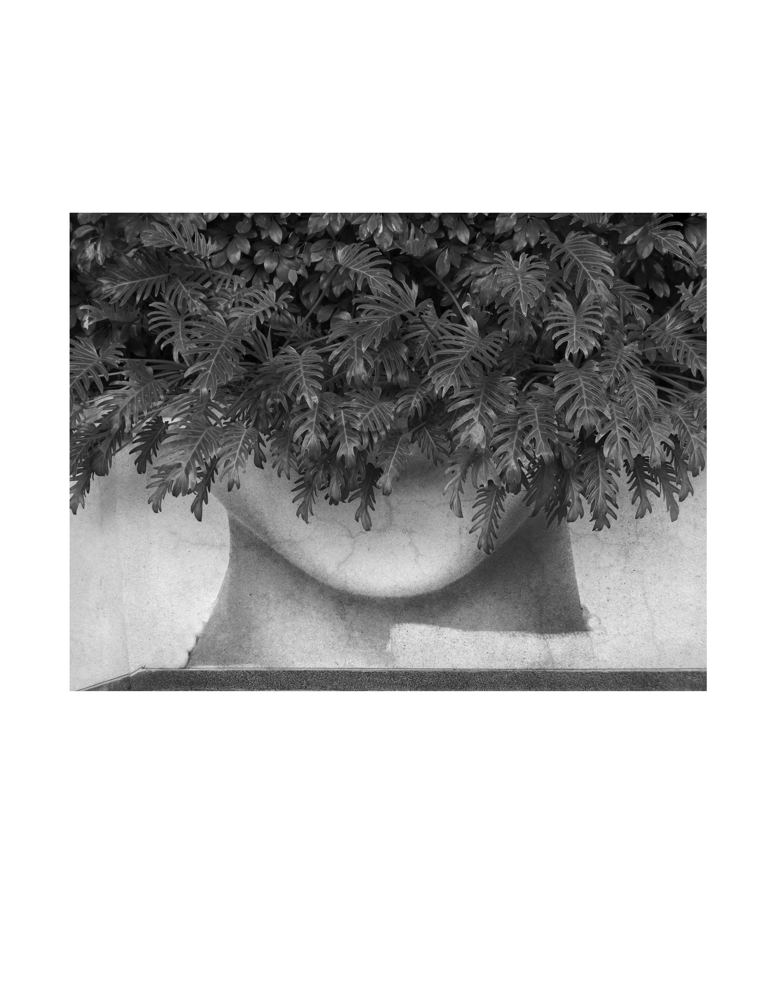 D3HerreraOrig01 German Herrera.jpg