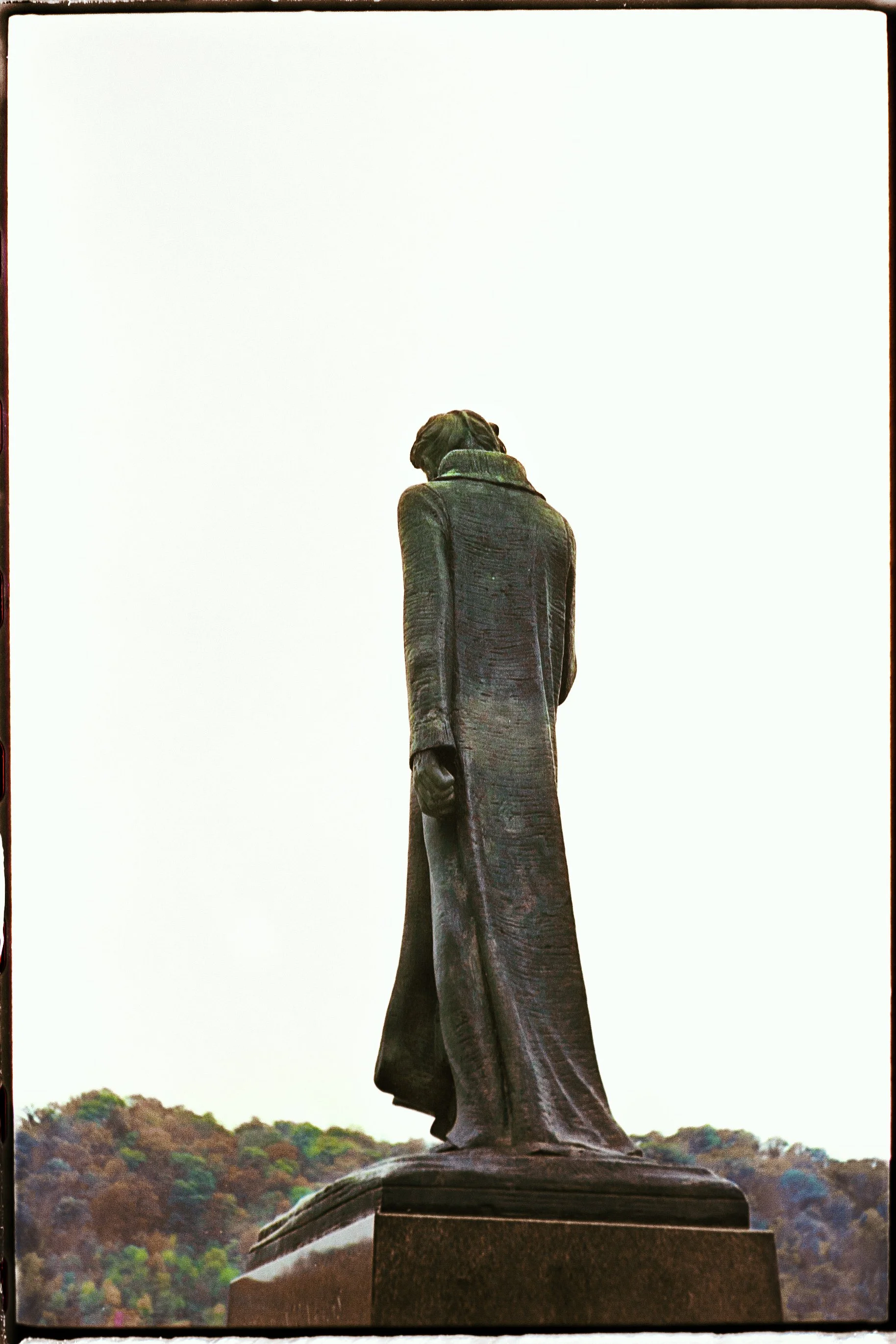 Donna Mitchell New 2