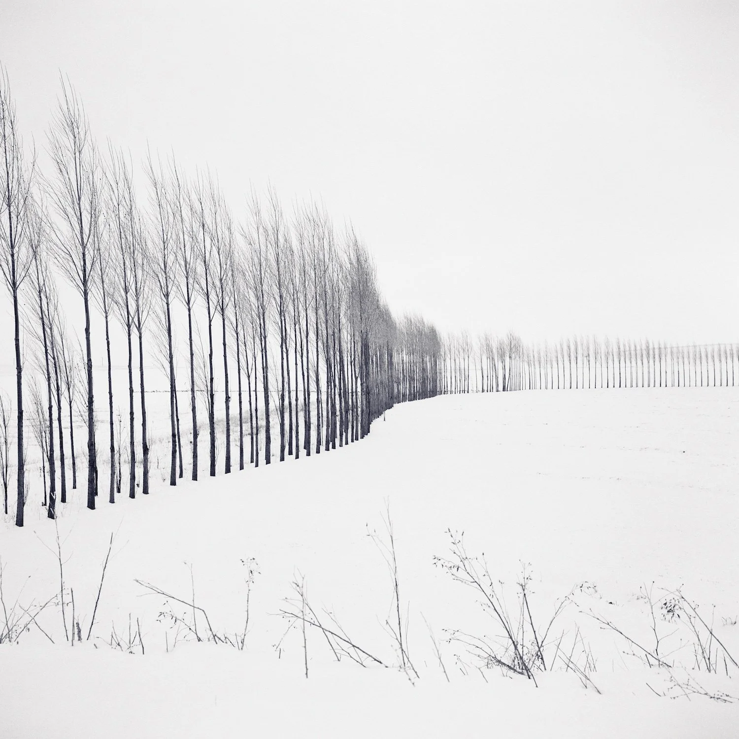 Simon Norfolk Original 3