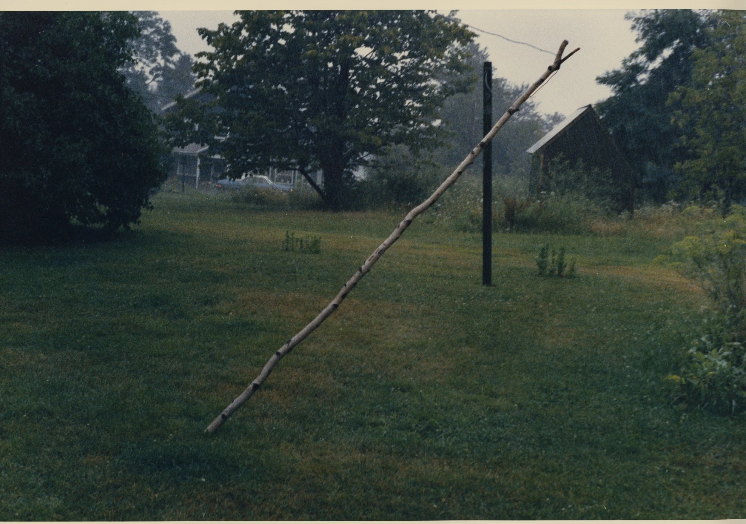 Mark Cohensend New 1