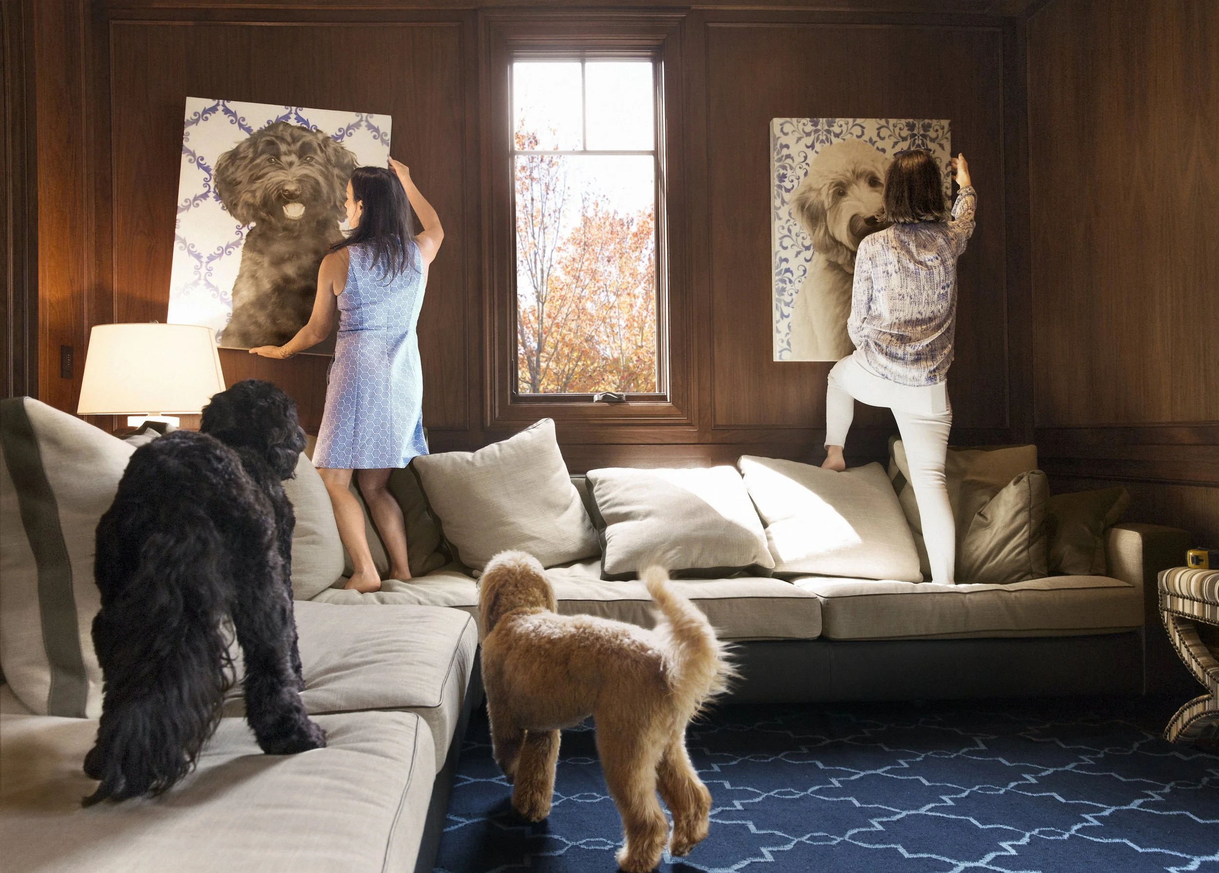 D4FreebergNew03 Andy Freeberg.jpg