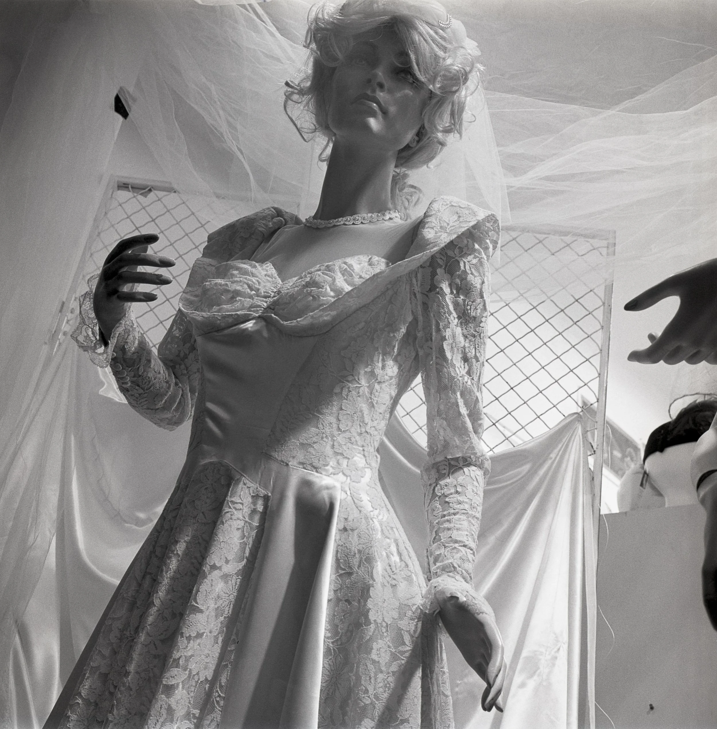 Diane Cook and Len Jenshel New 1