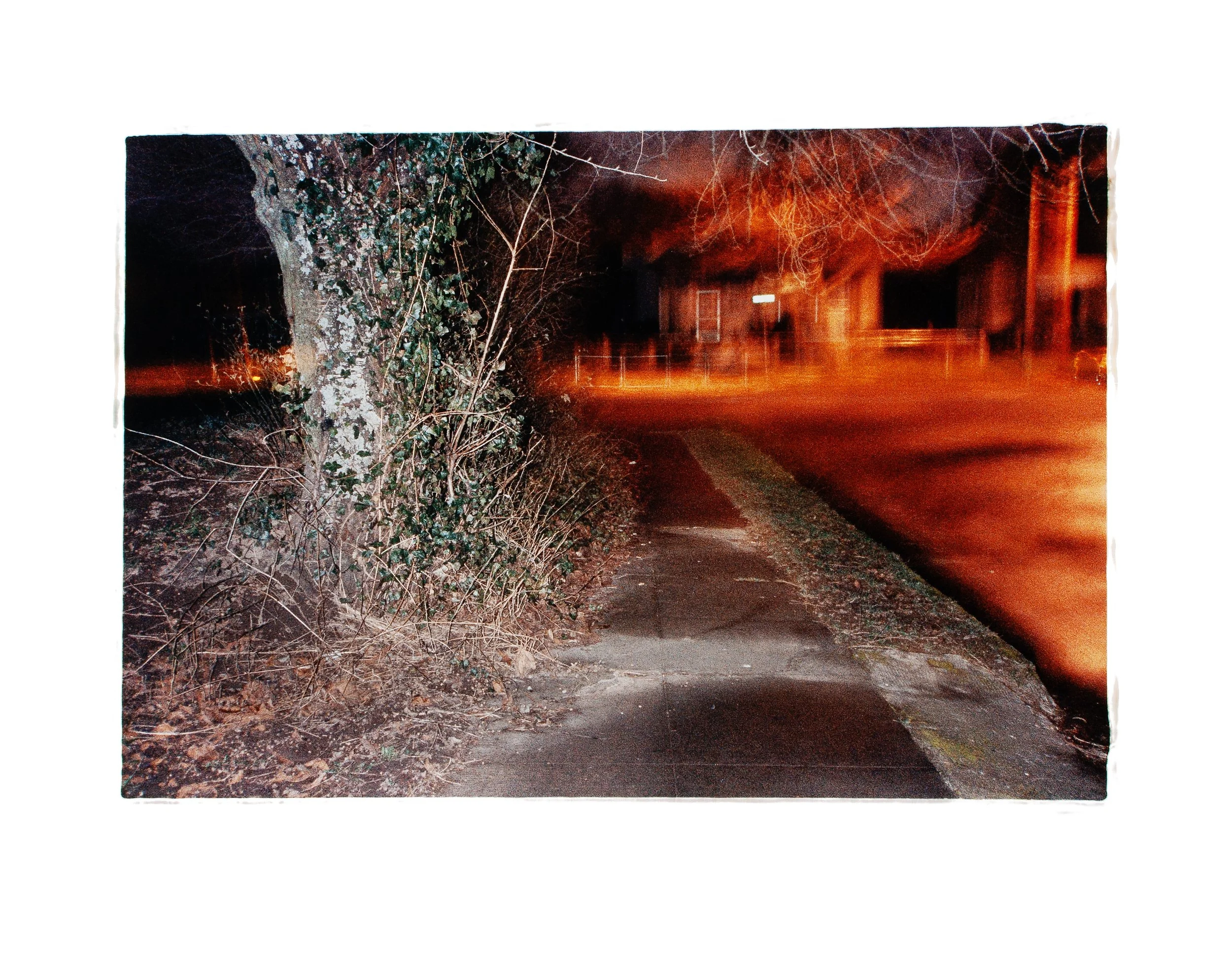 David Potter Original 2