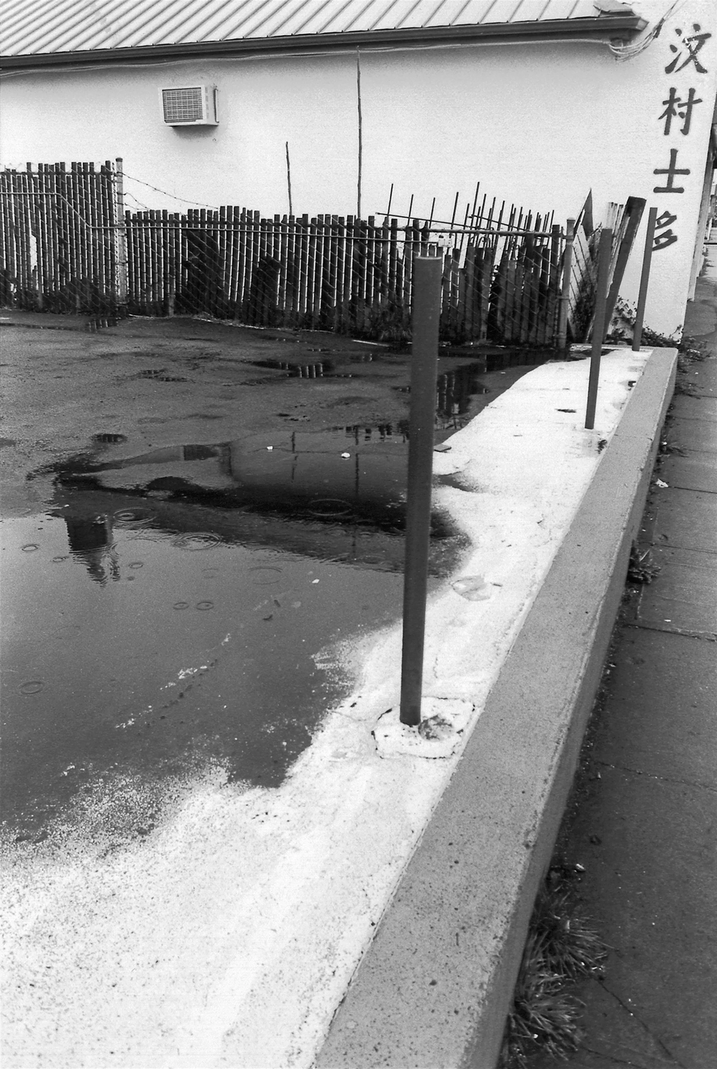 D4KendellenOrig02 Ann Kendellen.jpeg