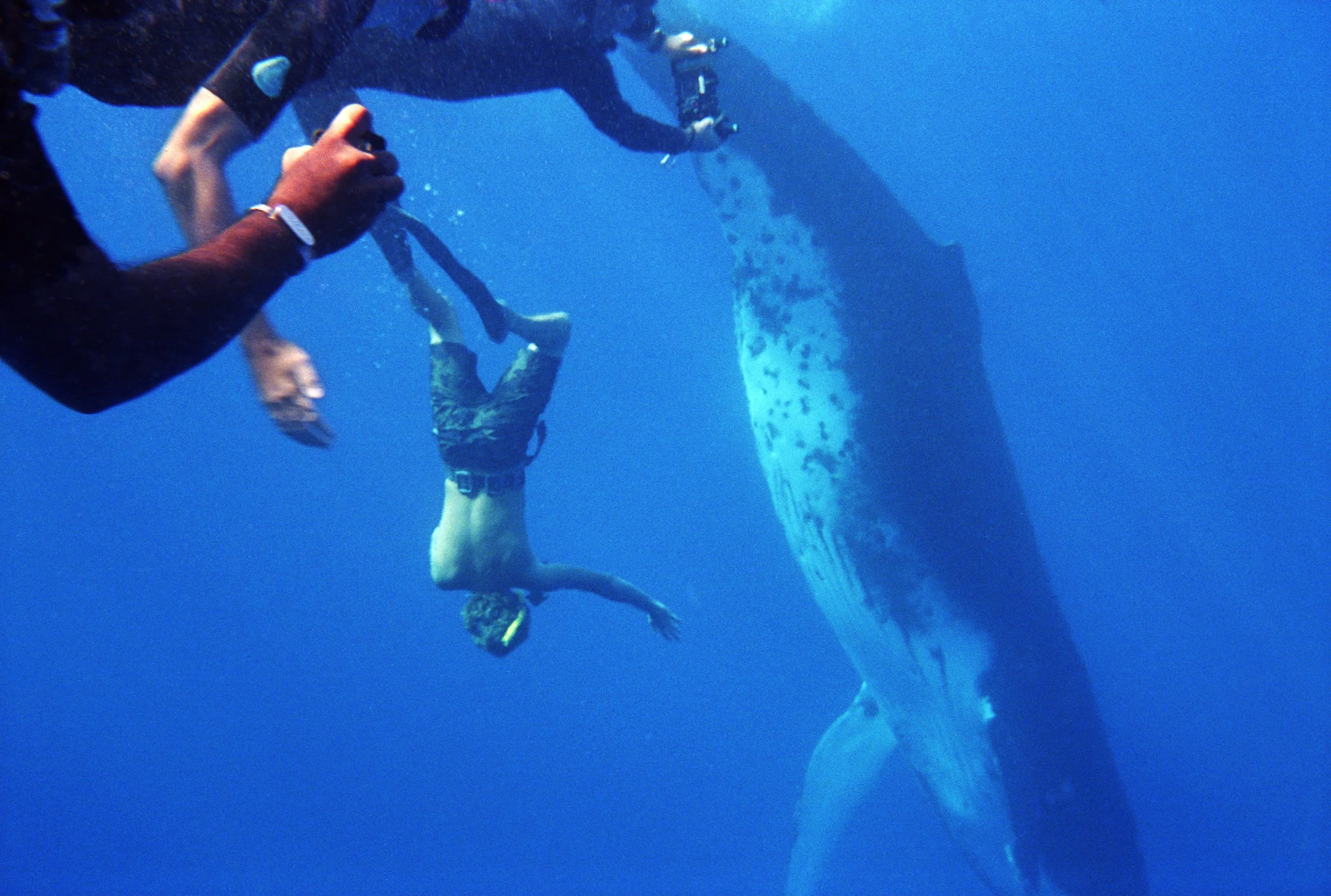 Bobby Abrahamson New 3