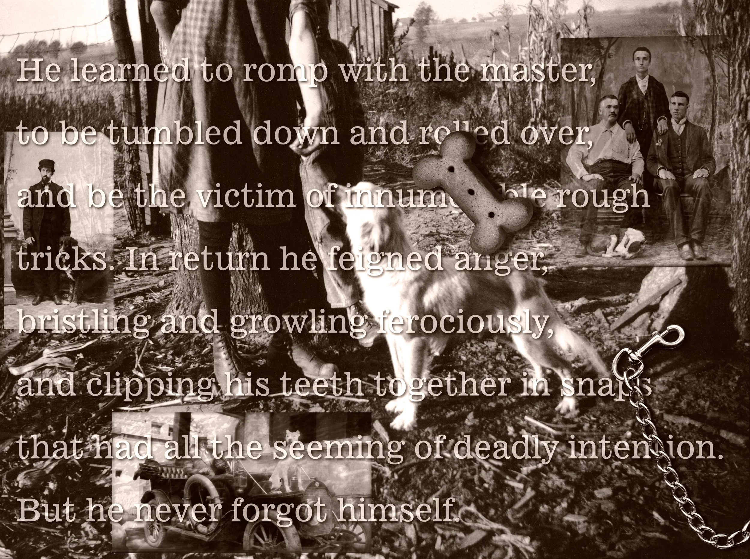 D3BairdOrig01 Darryl Baird.jpg