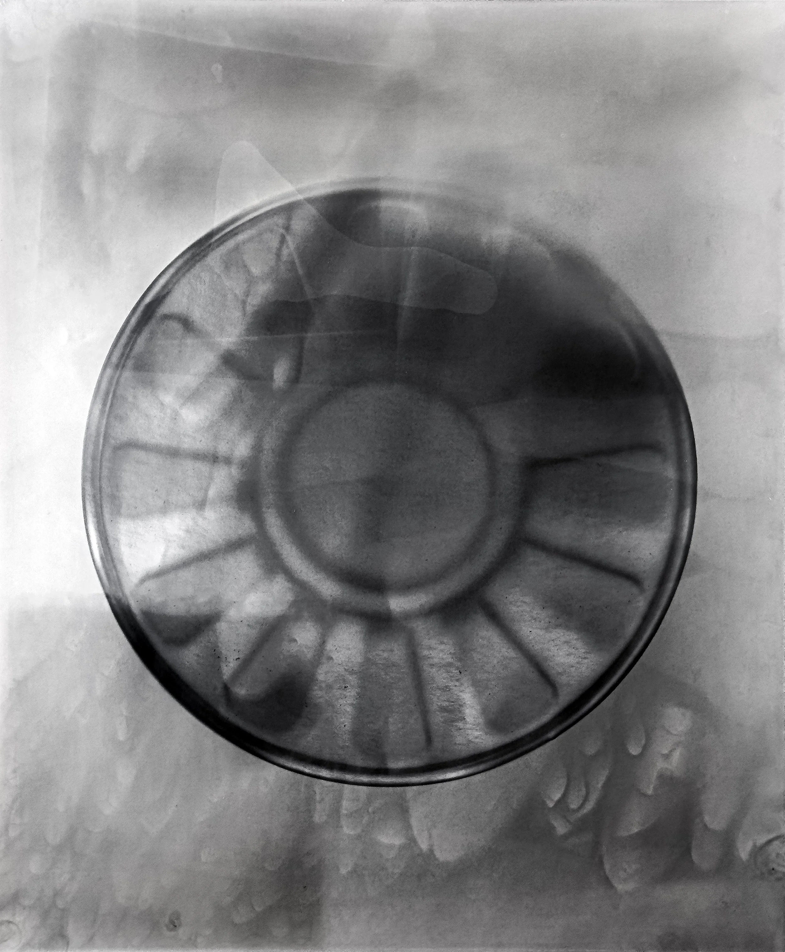 CatierNew01MATTERS 2025  CIRCLE J   IMG_6532.jpeg