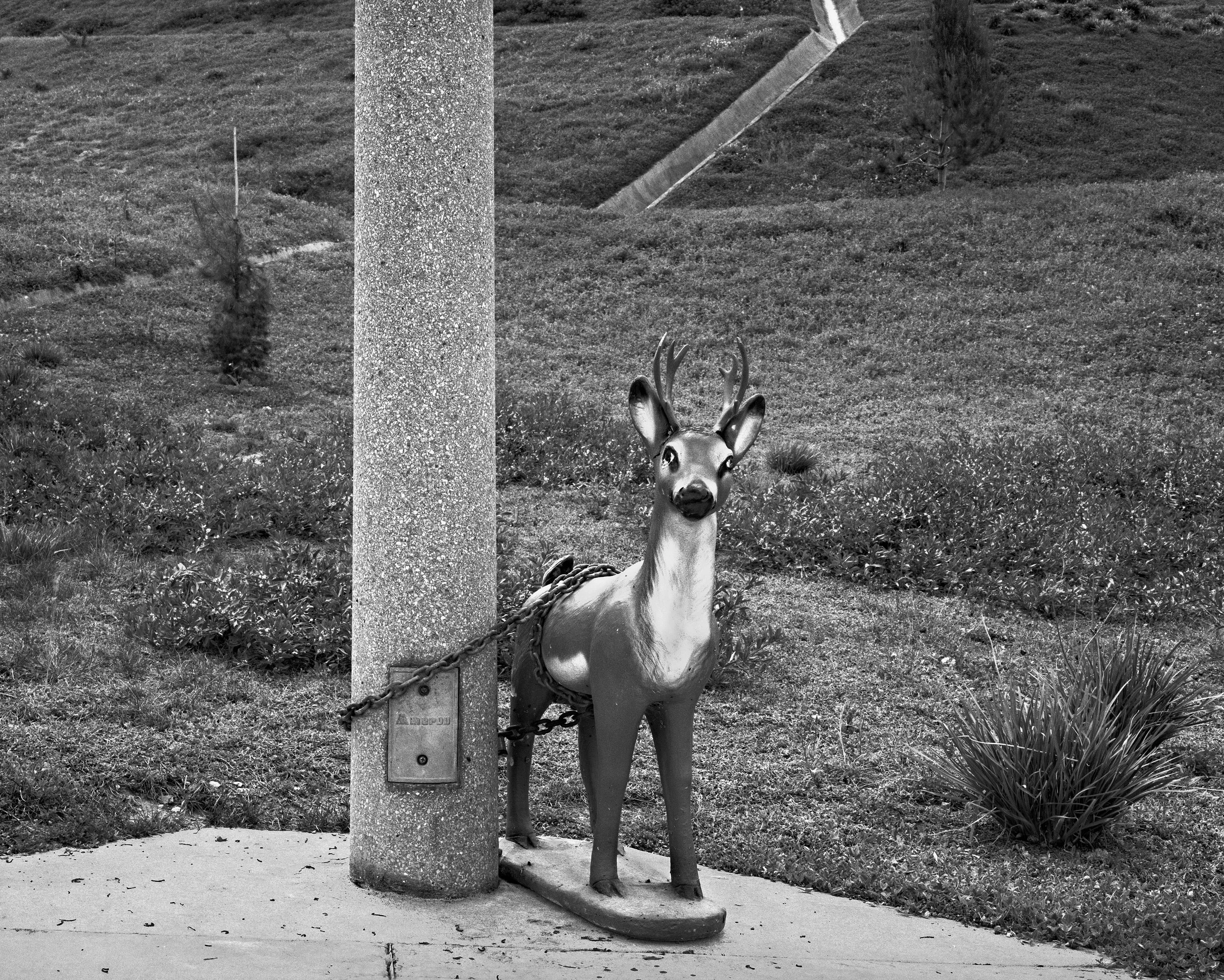 D3StockOrig3 David Stock.jpg