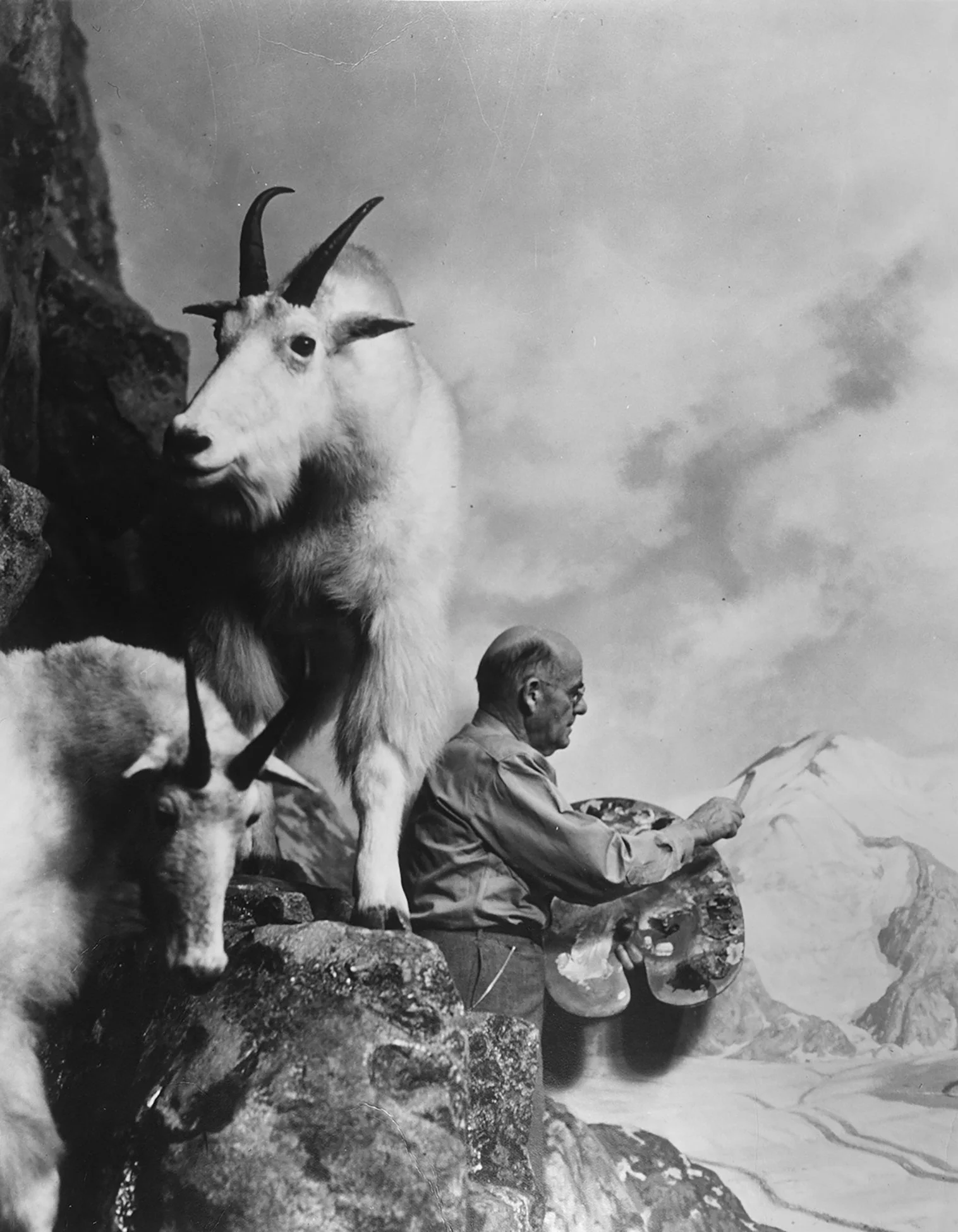 1980AMNH12 copy Blue Sky Gallery.jpg