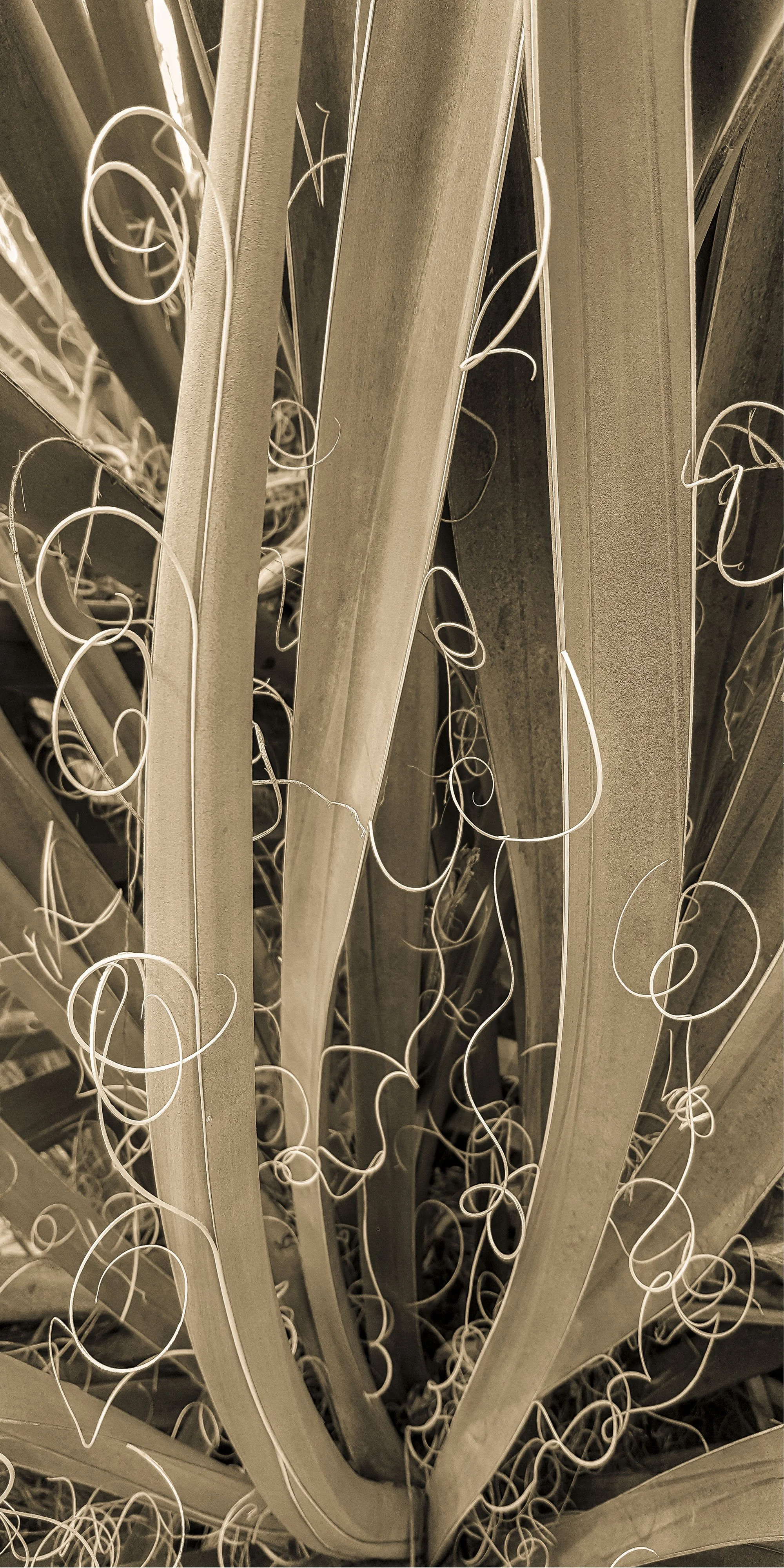 D3BairdNew03 Darryl Baird.jpg