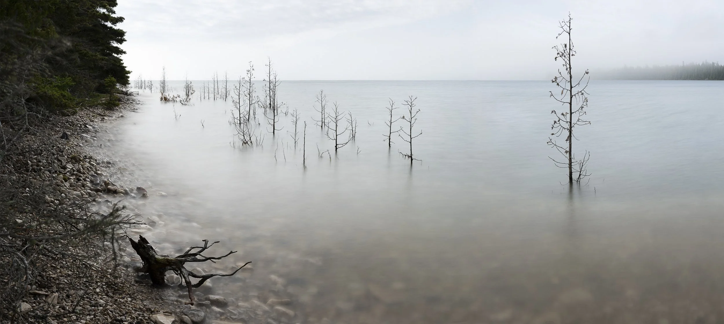 Jonathan Sharlin New 2