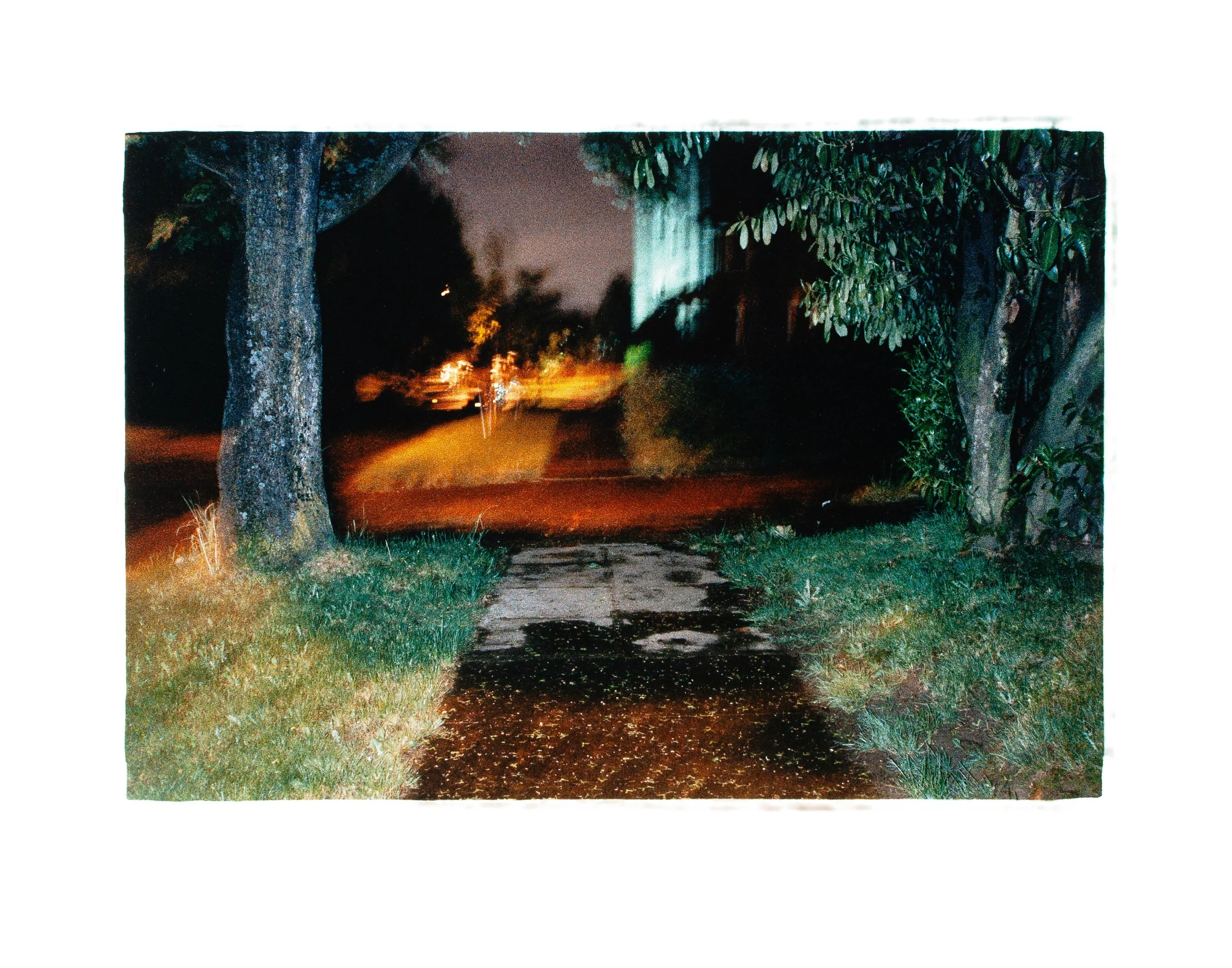 David Potter Original 3