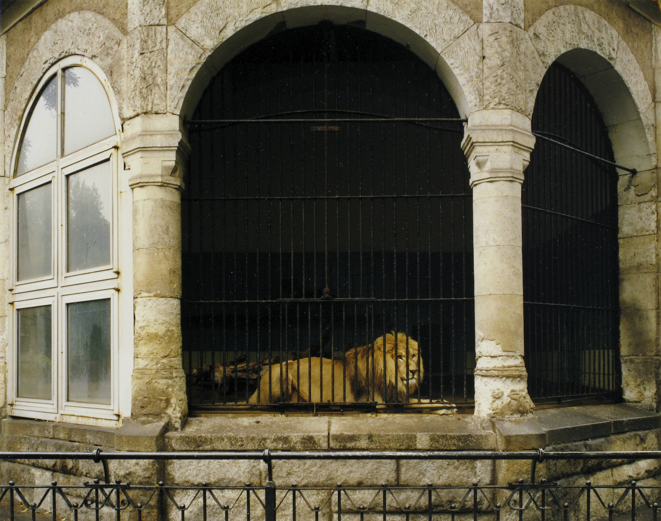 Volker Seding Original 1